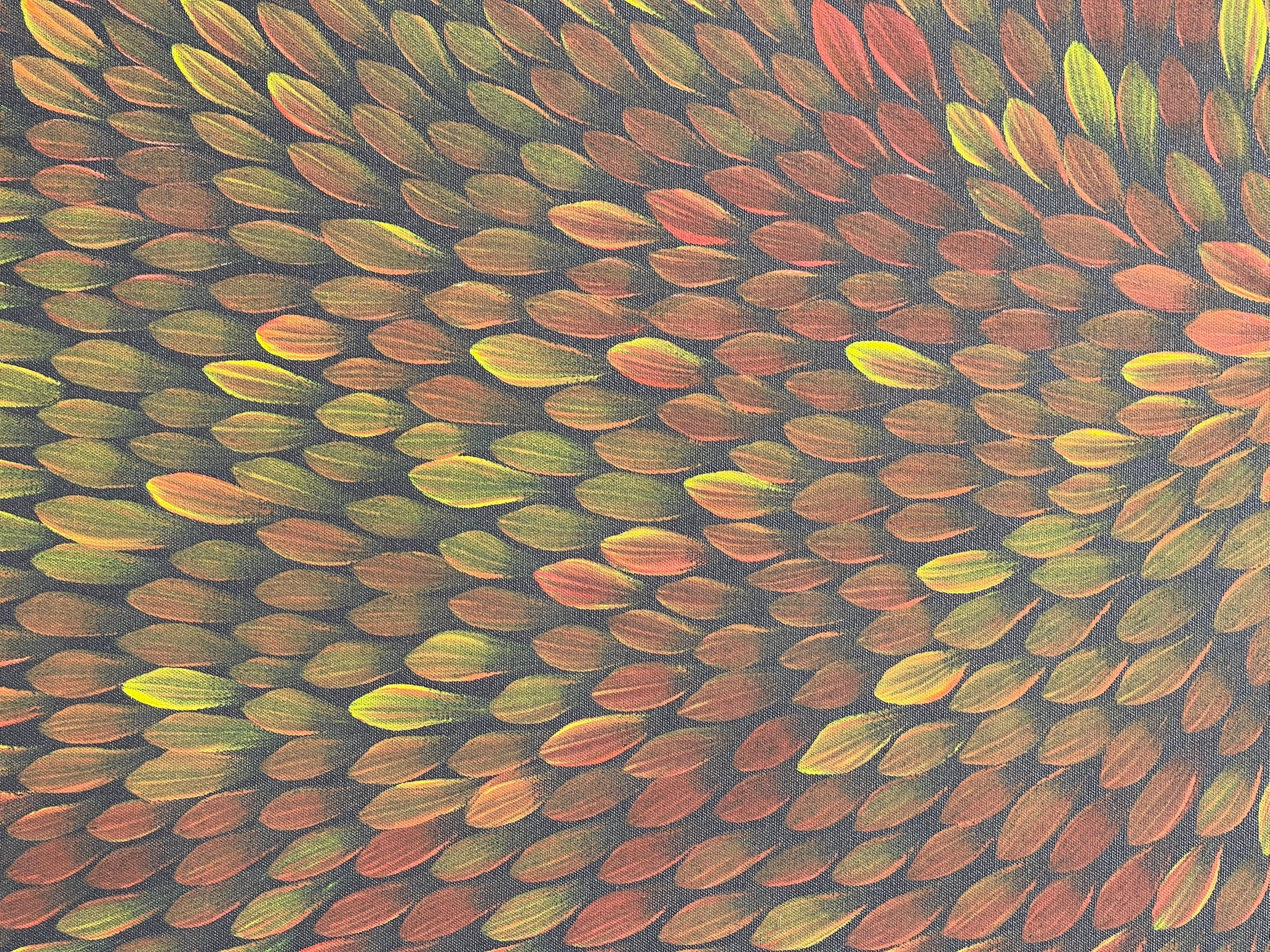 Maryanne Gibson - Bush Medicine .24-2