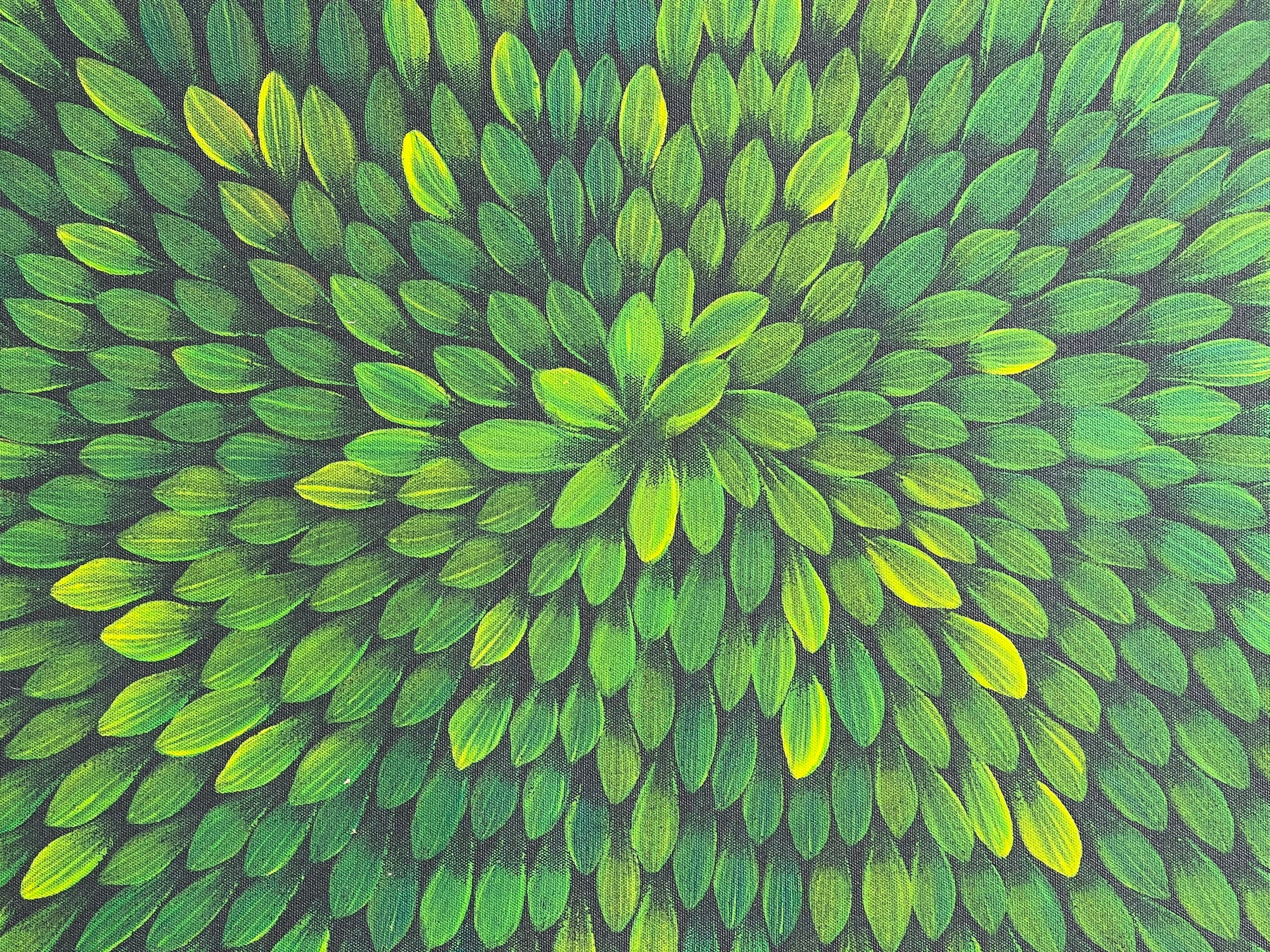 Maryanne Gibson - Bush Medicine - 89x42cm .24-1