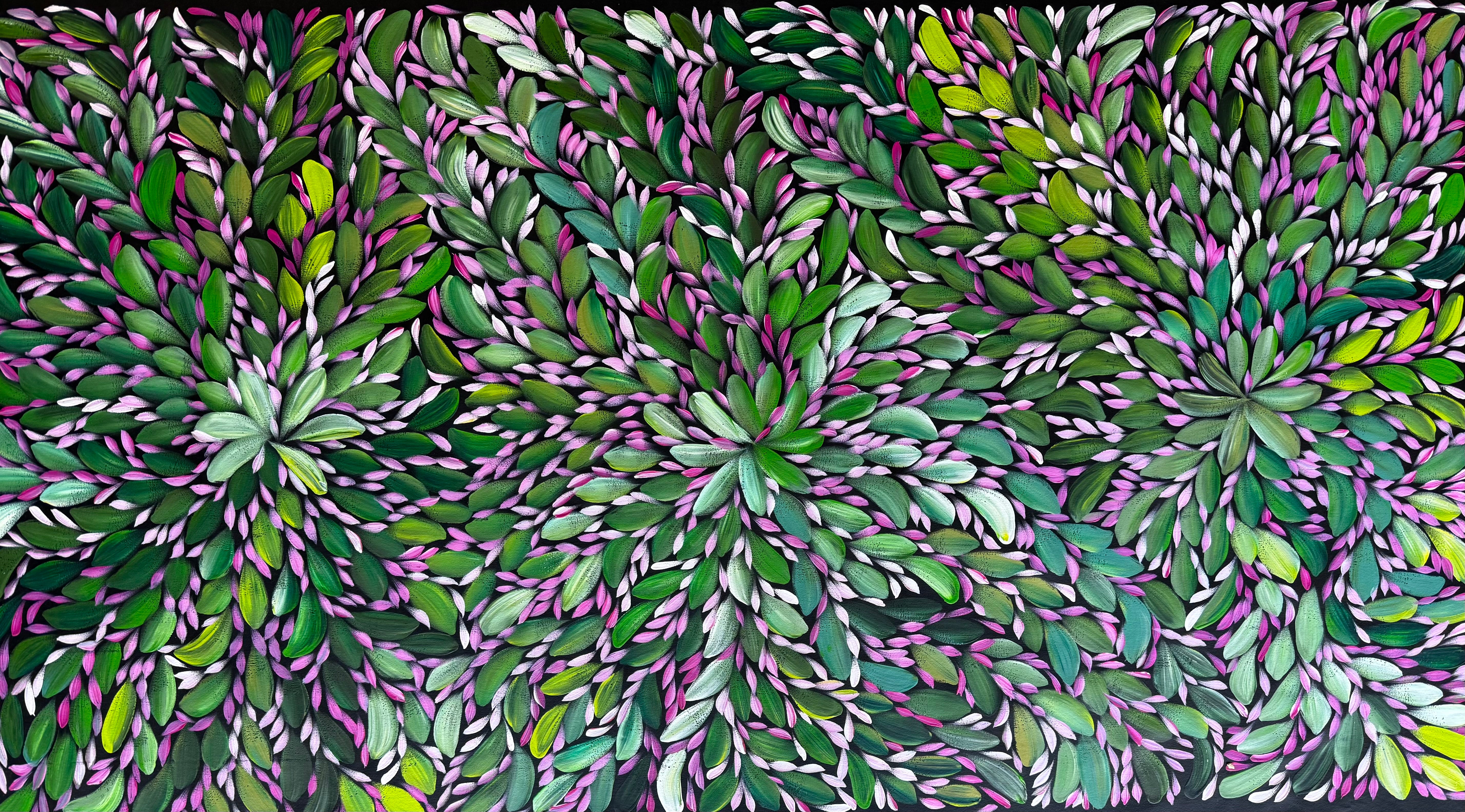 Louise Numina Napananka - Bush Medicine Leaves .43-14