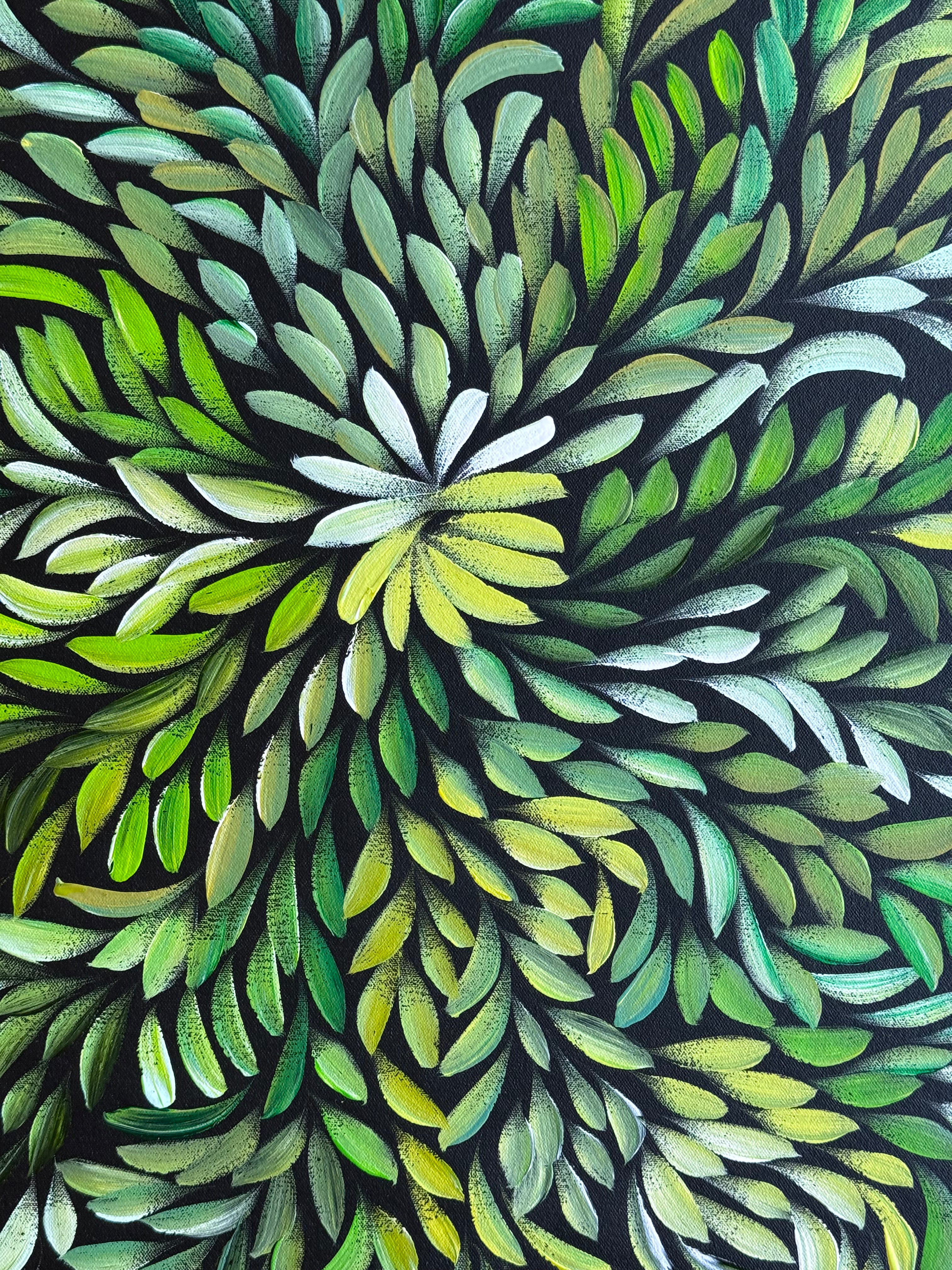 Louise Numina Napananka - Bush Medicine Leaves .22-13