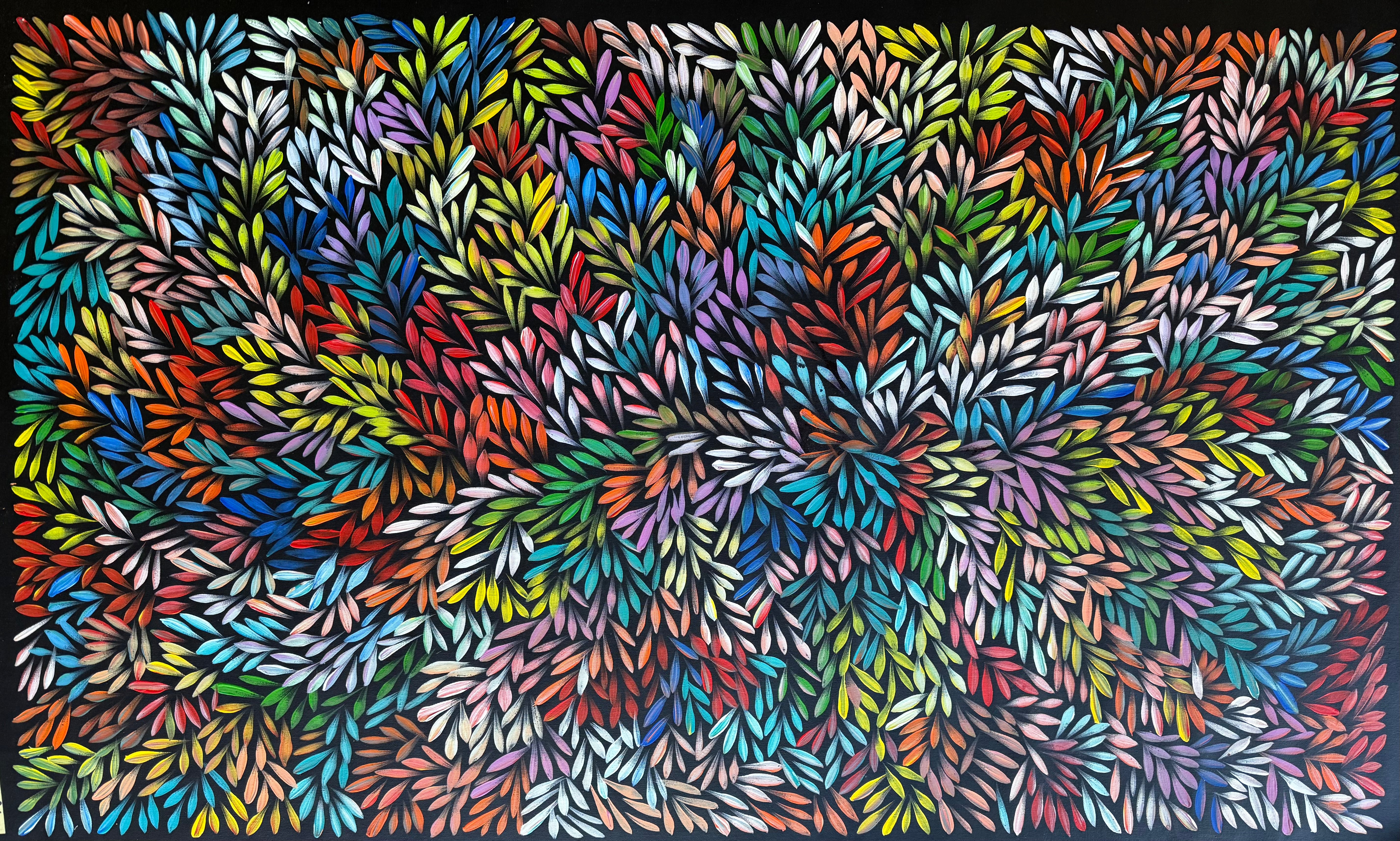 Sharon Numina - Bush Medicine Leaves .01-3