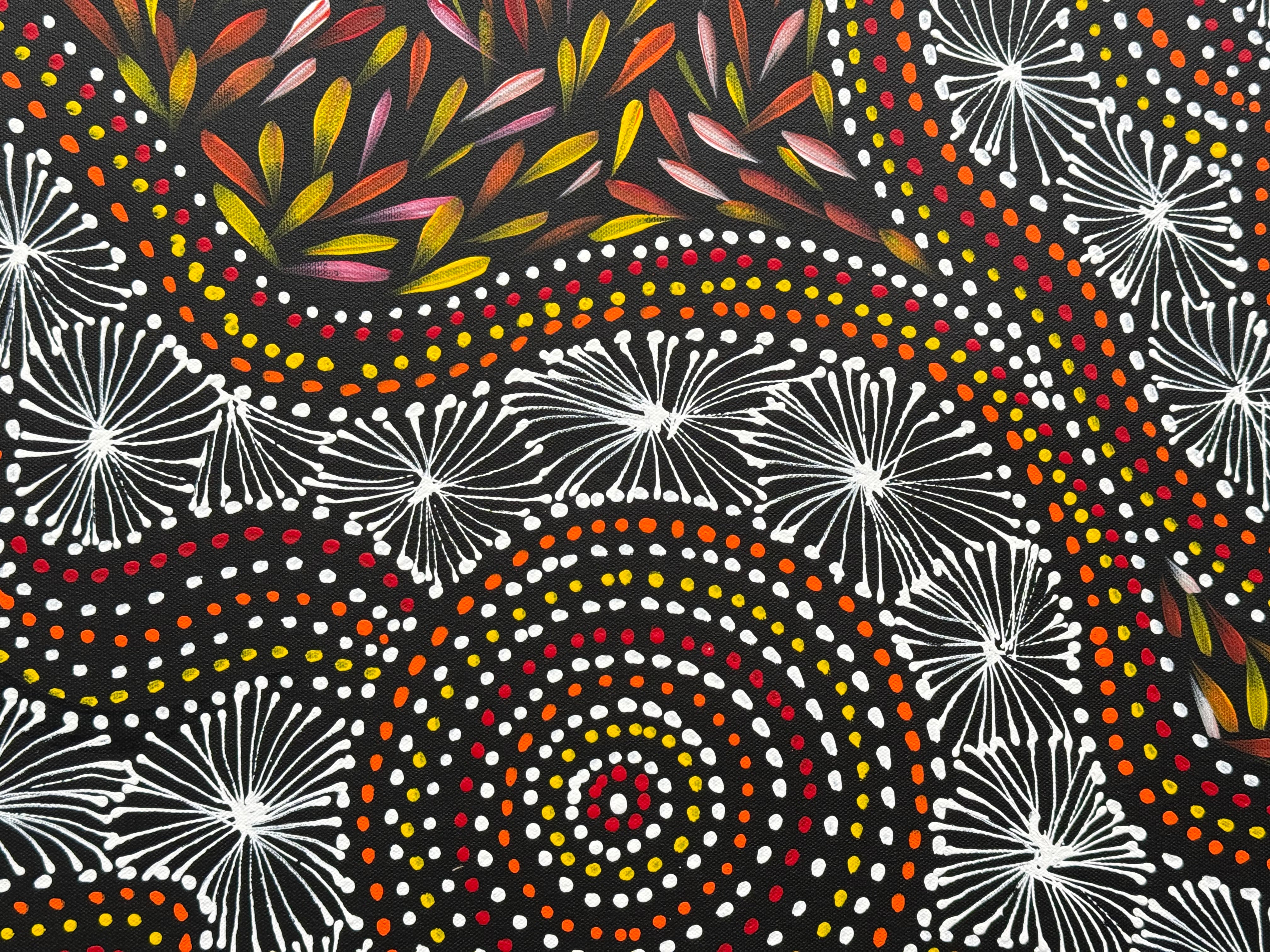 Selina Numina Kamprina - Seeds and Waterholes .92-5