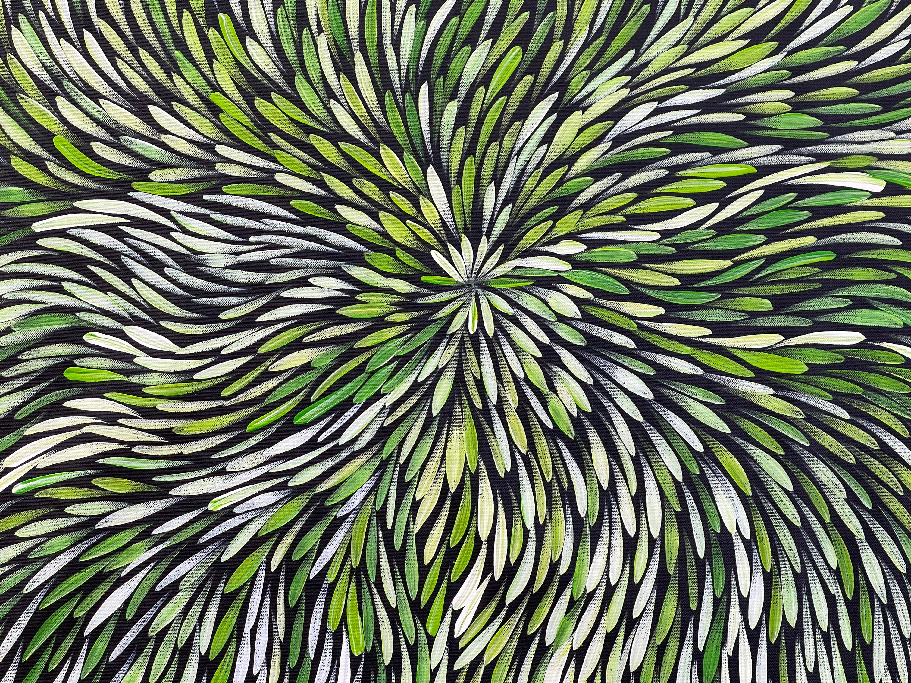 Sharon Numina - Bush Medicine Leaves - 143x67 .28-22
