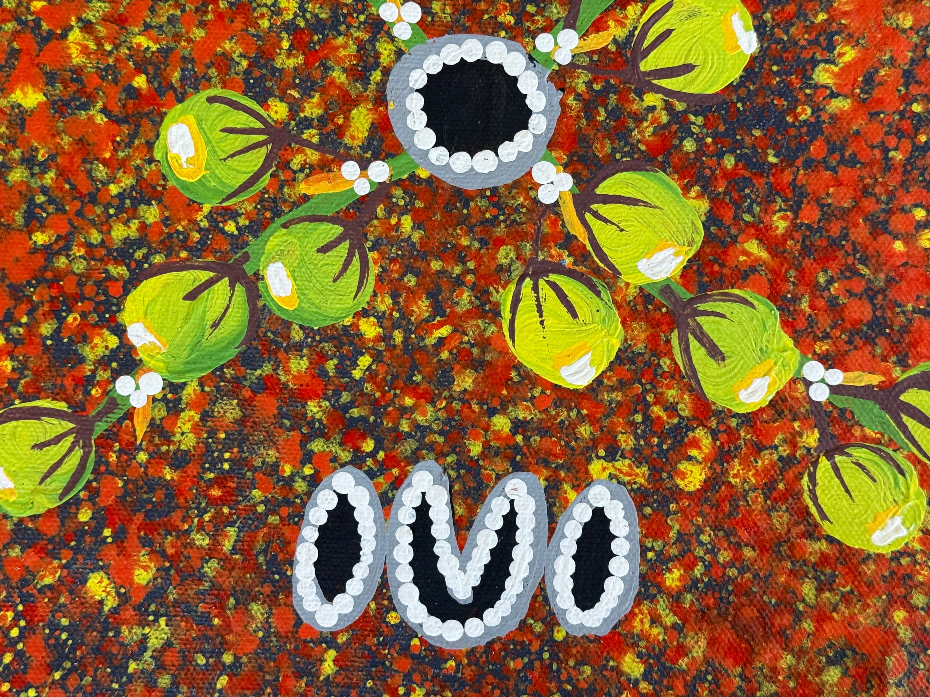 Reggie Sultan  - Collecting Bushgrapes .02-20