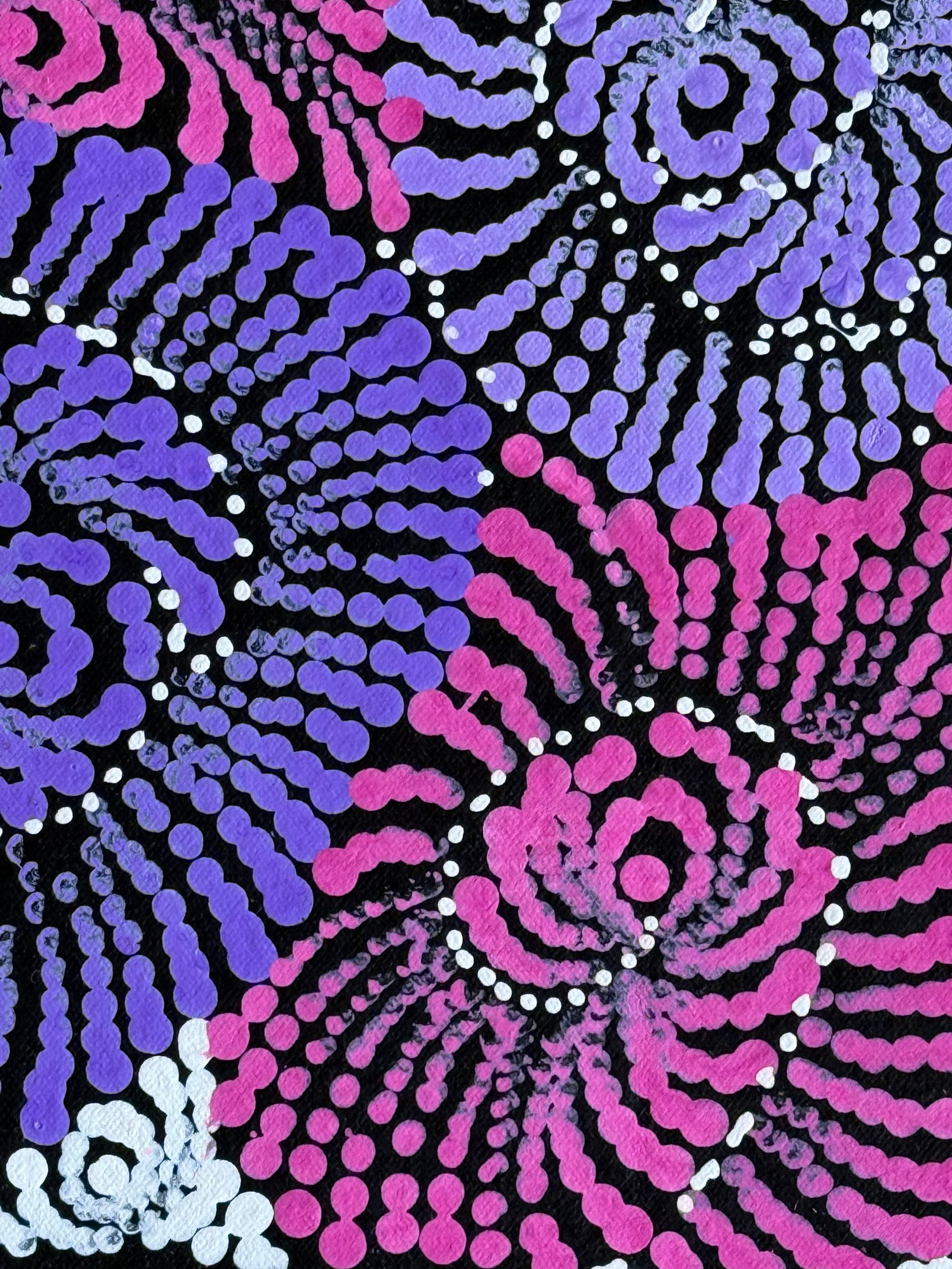 Maria Nampijinpa Brown - Flying Ants Dreaming .35-2