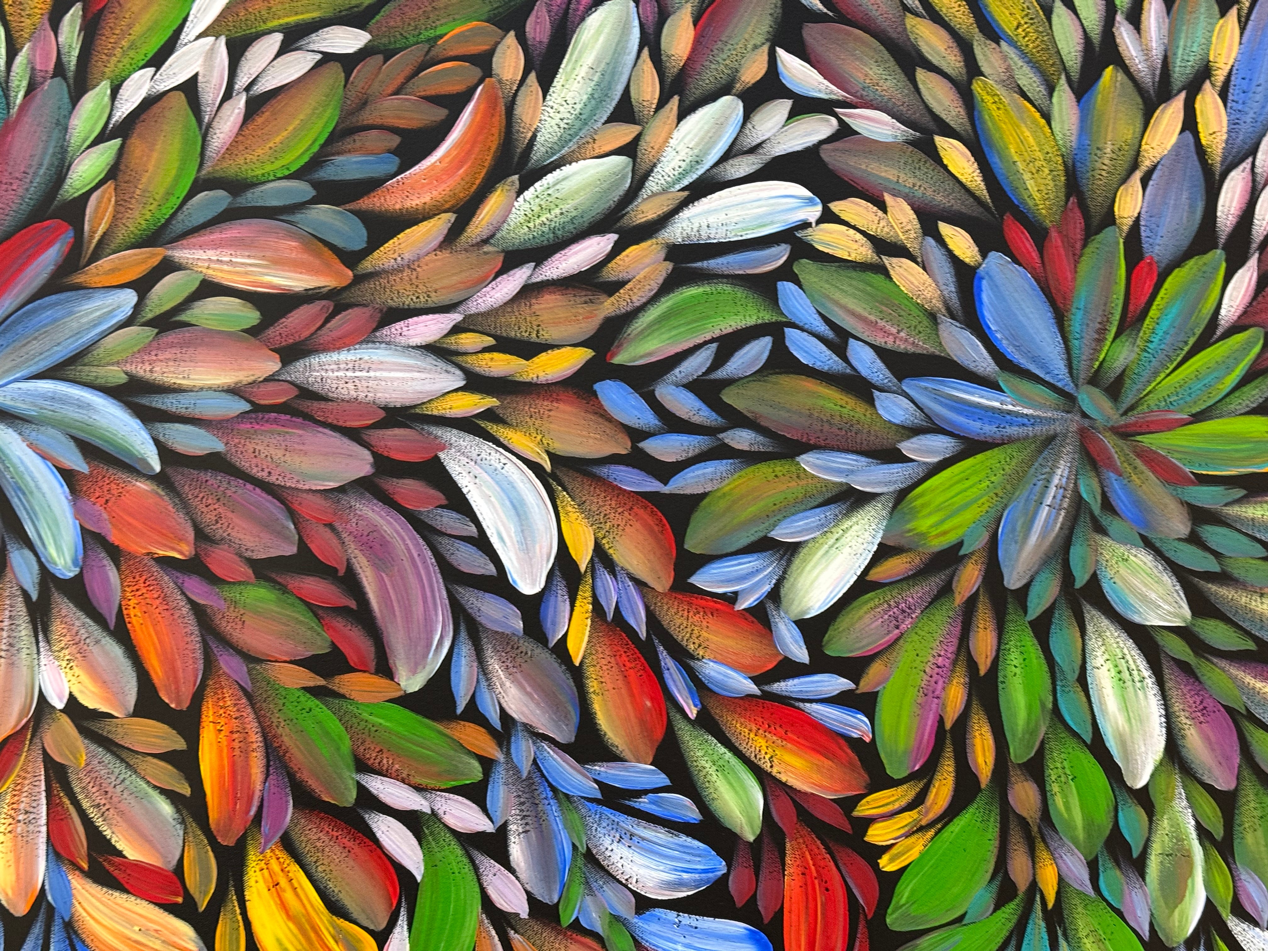 Louise Numina Napananka - Bush Medicine Leaves .21-11