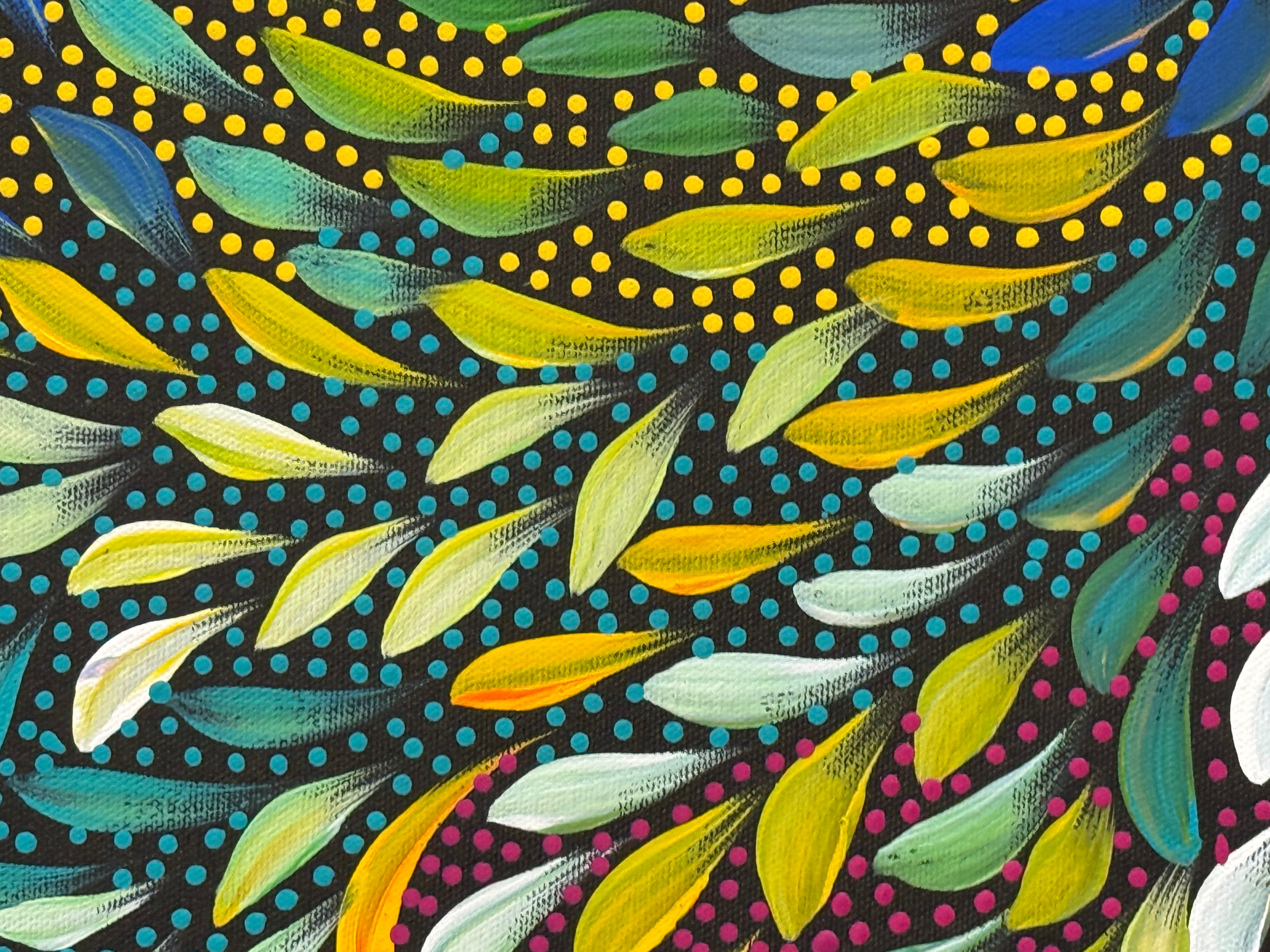 Caroline Numina - Bush Medicine Leaves and Seeds .04-24