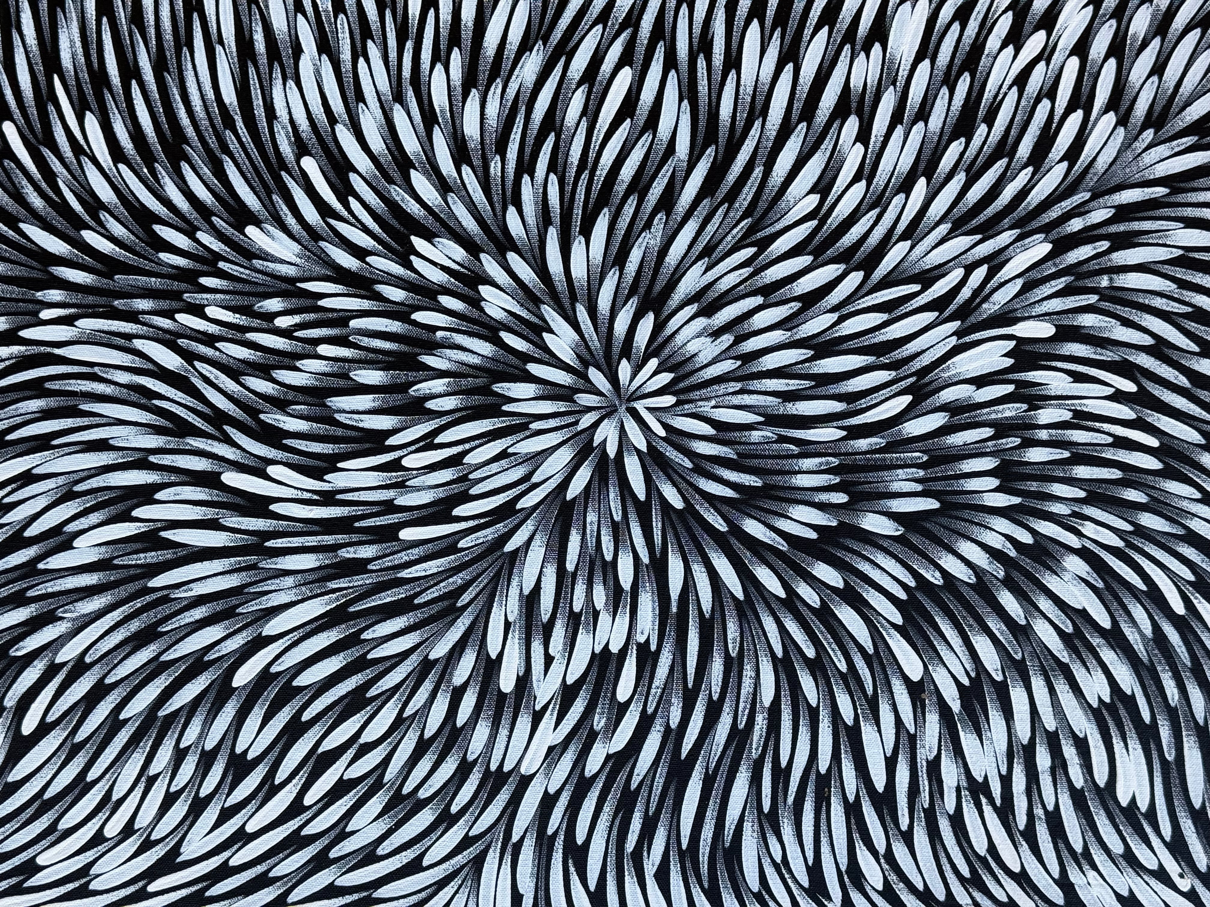 Sharon Numina - Bush Medicine Leaves .01-10