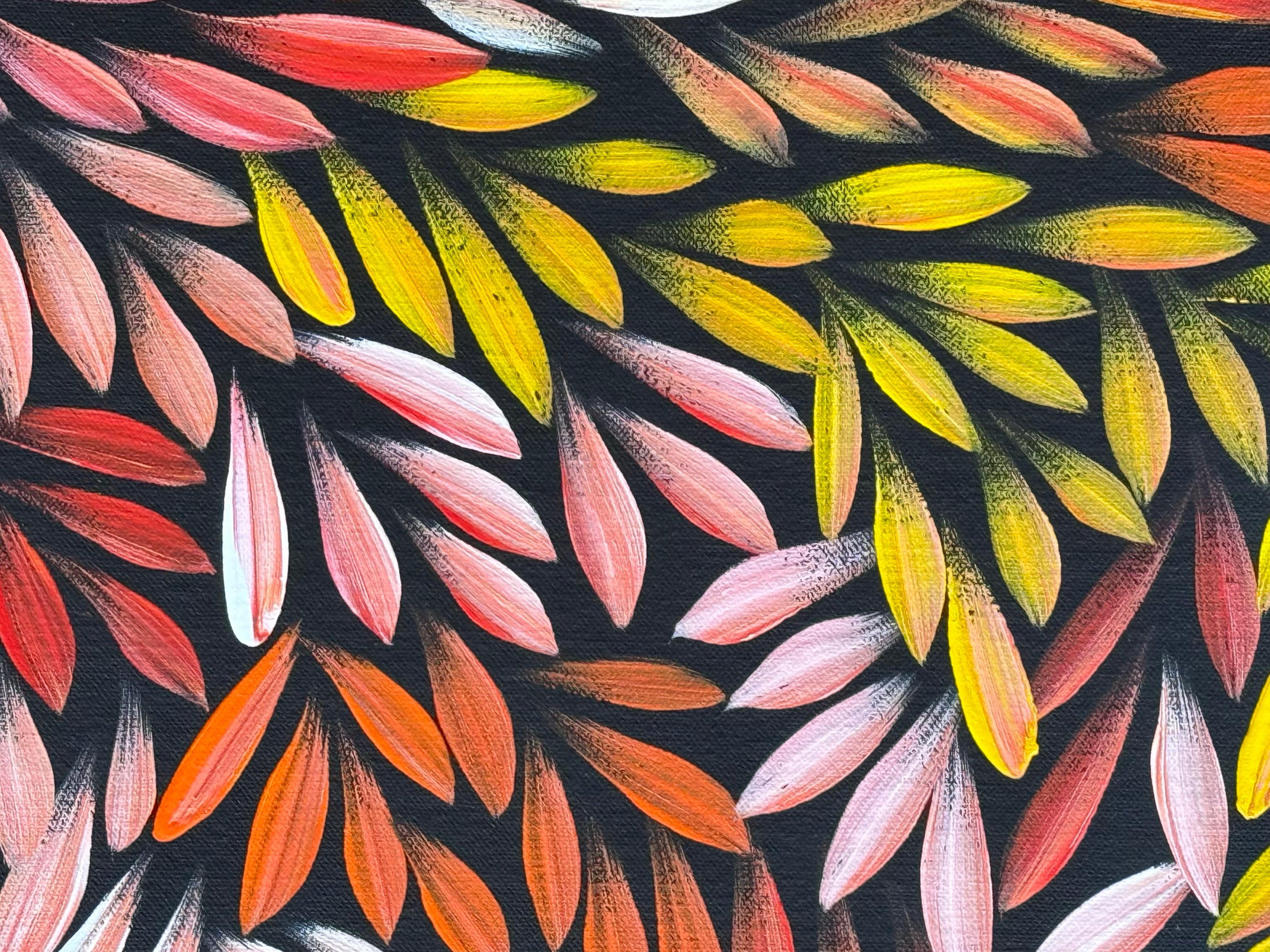 Sharon Numina - Bush Medicine Leaves .50-15