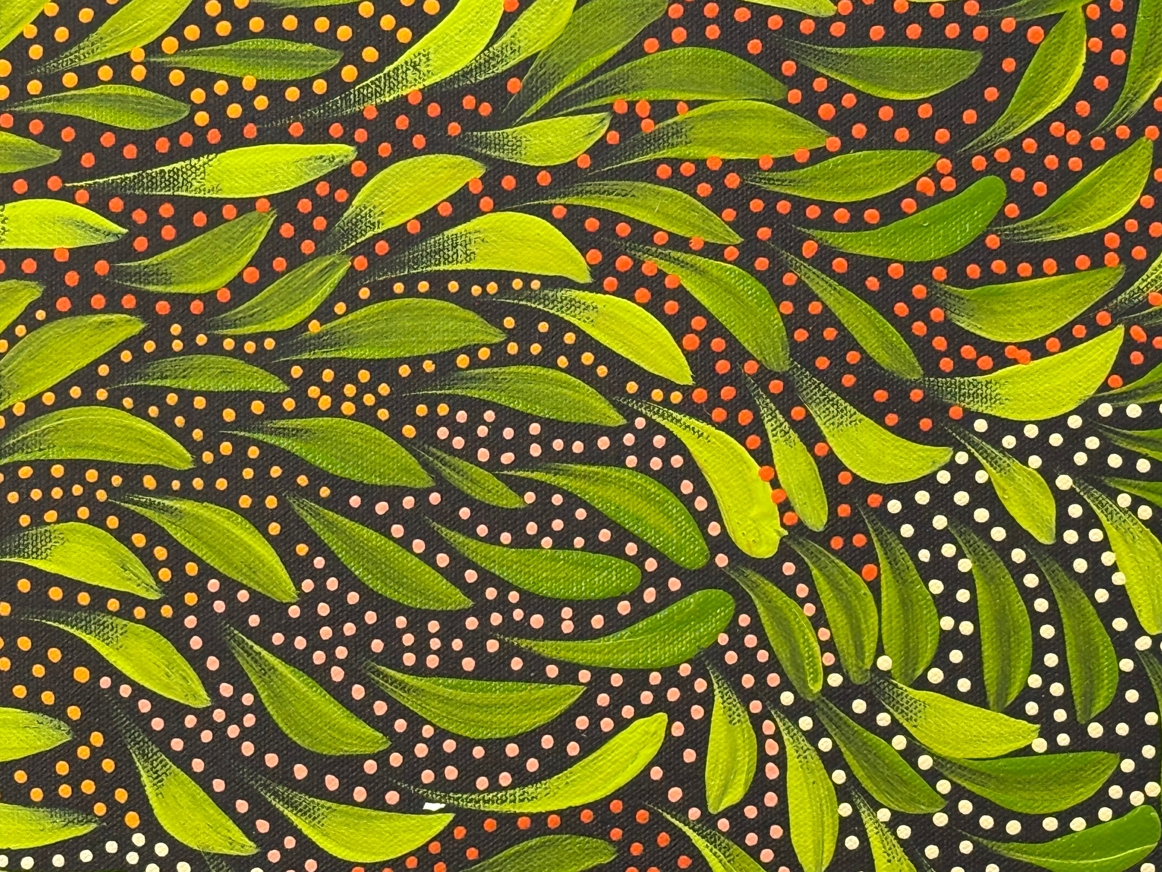 Caroline Numina - Bush Medicine Leaves and Seeds .04-17