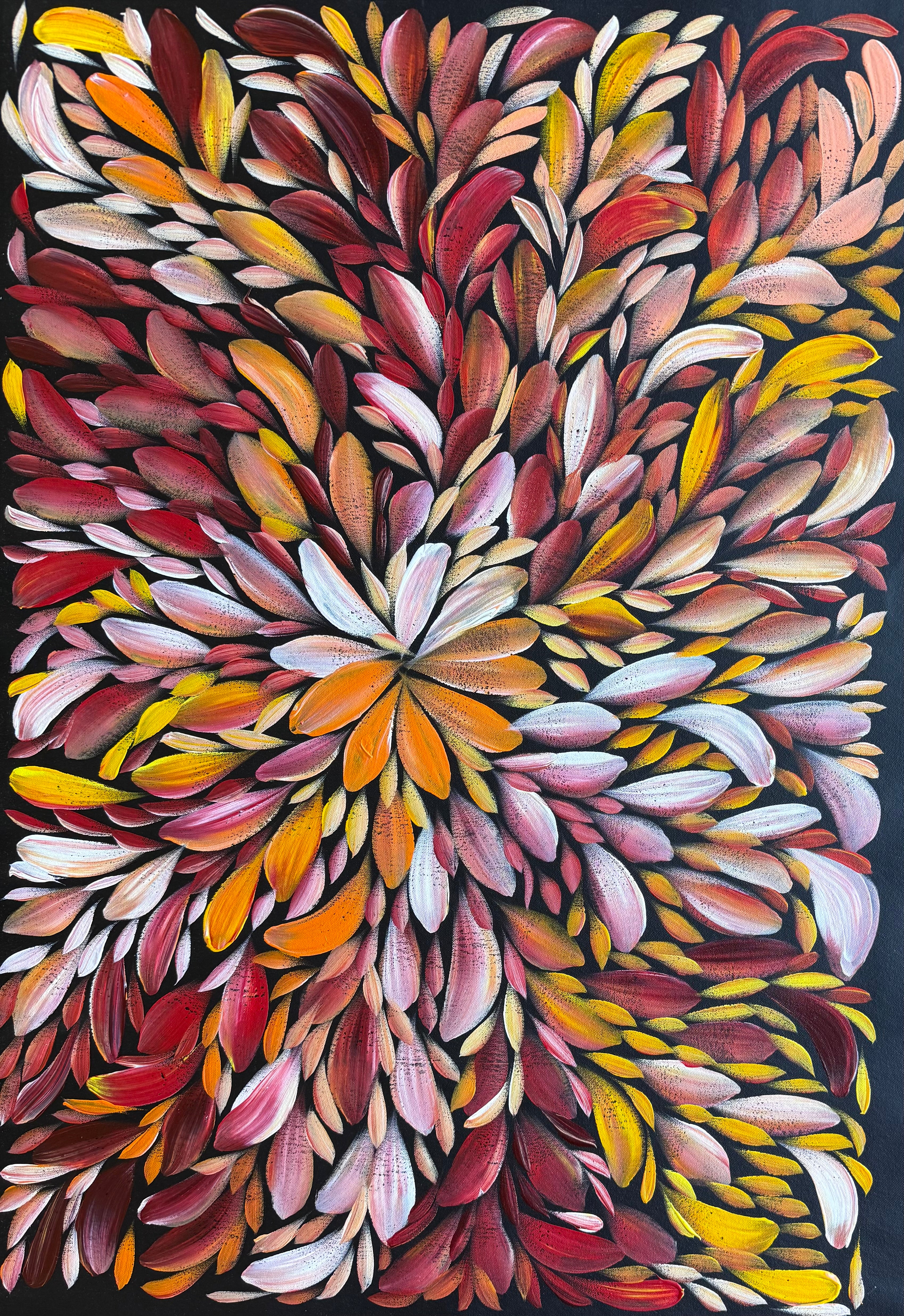 Louise Numina Napananka - Bush Medicine Leaves .24-13