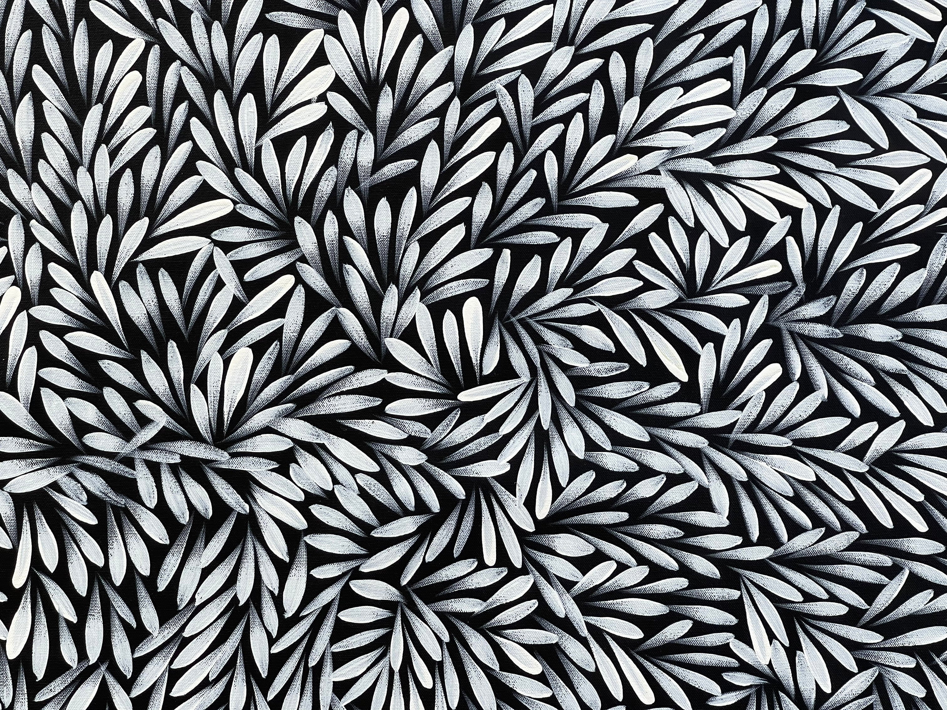 Sharon Numina - Bush Medicine Leaves - 143x66 .28-23