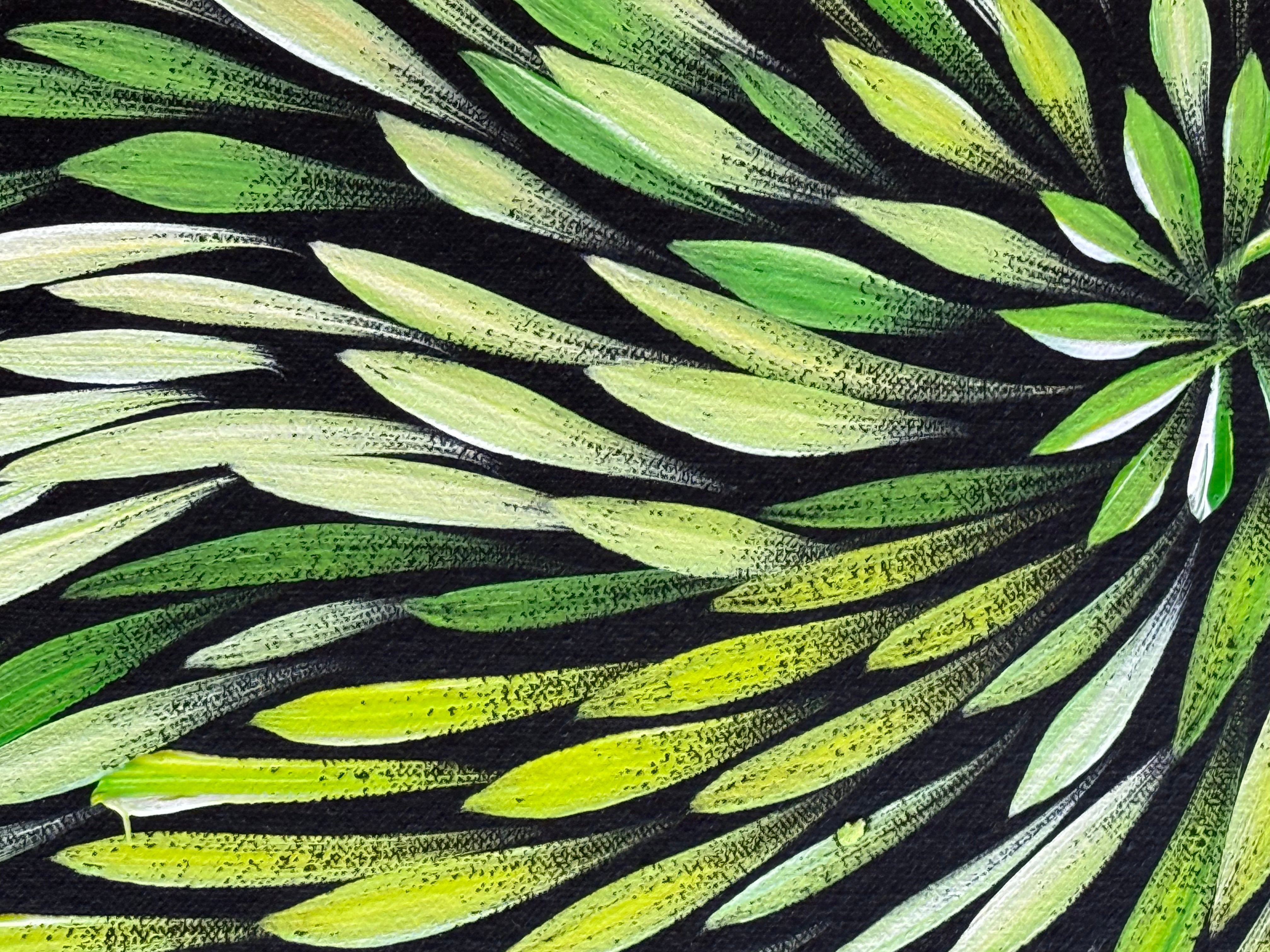 Sharon Numina - Bush Medicine Leaves .14-16