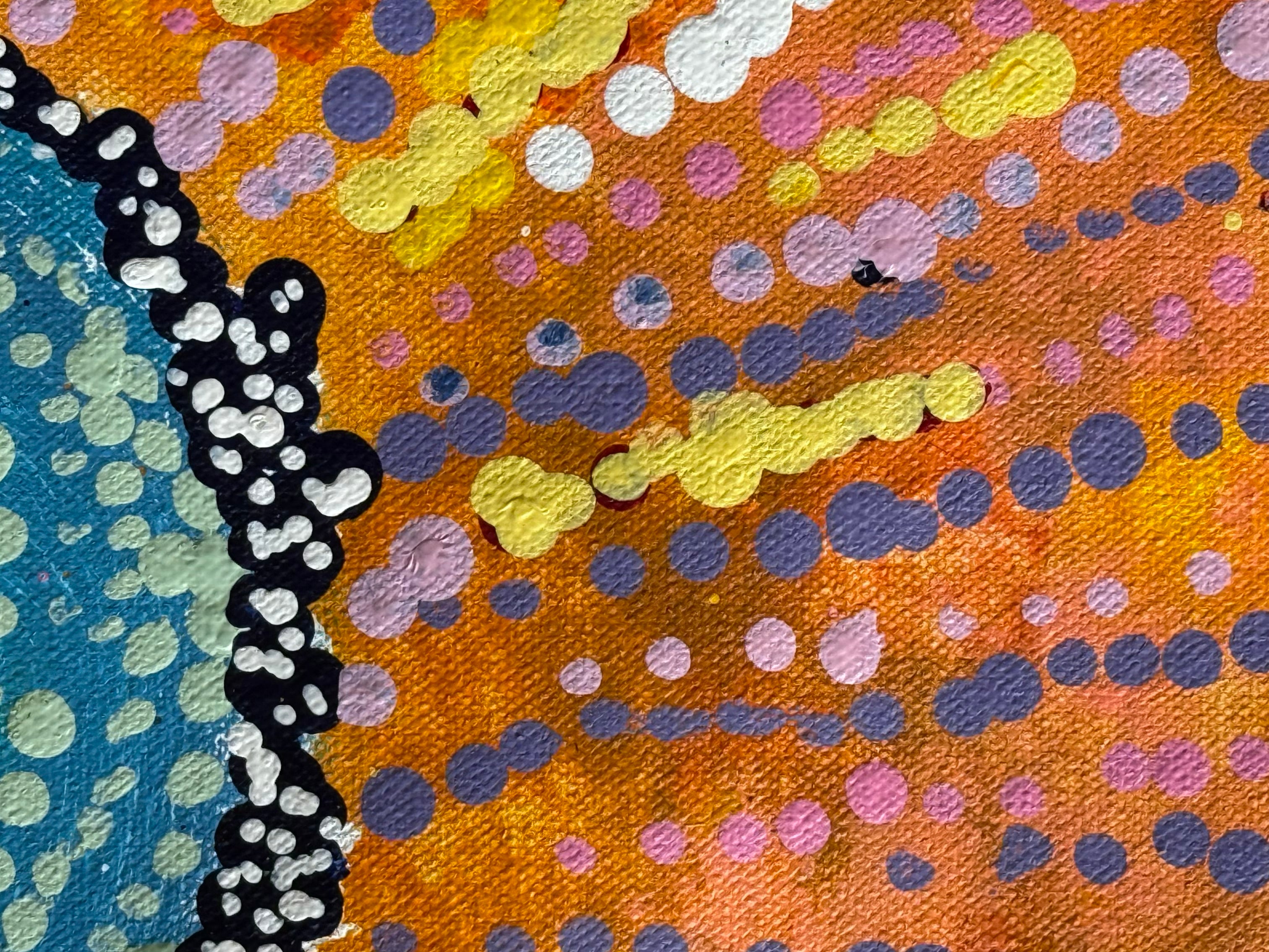 Maria Nampijinpa Brown - Seven Sisters Dreaming .48-2