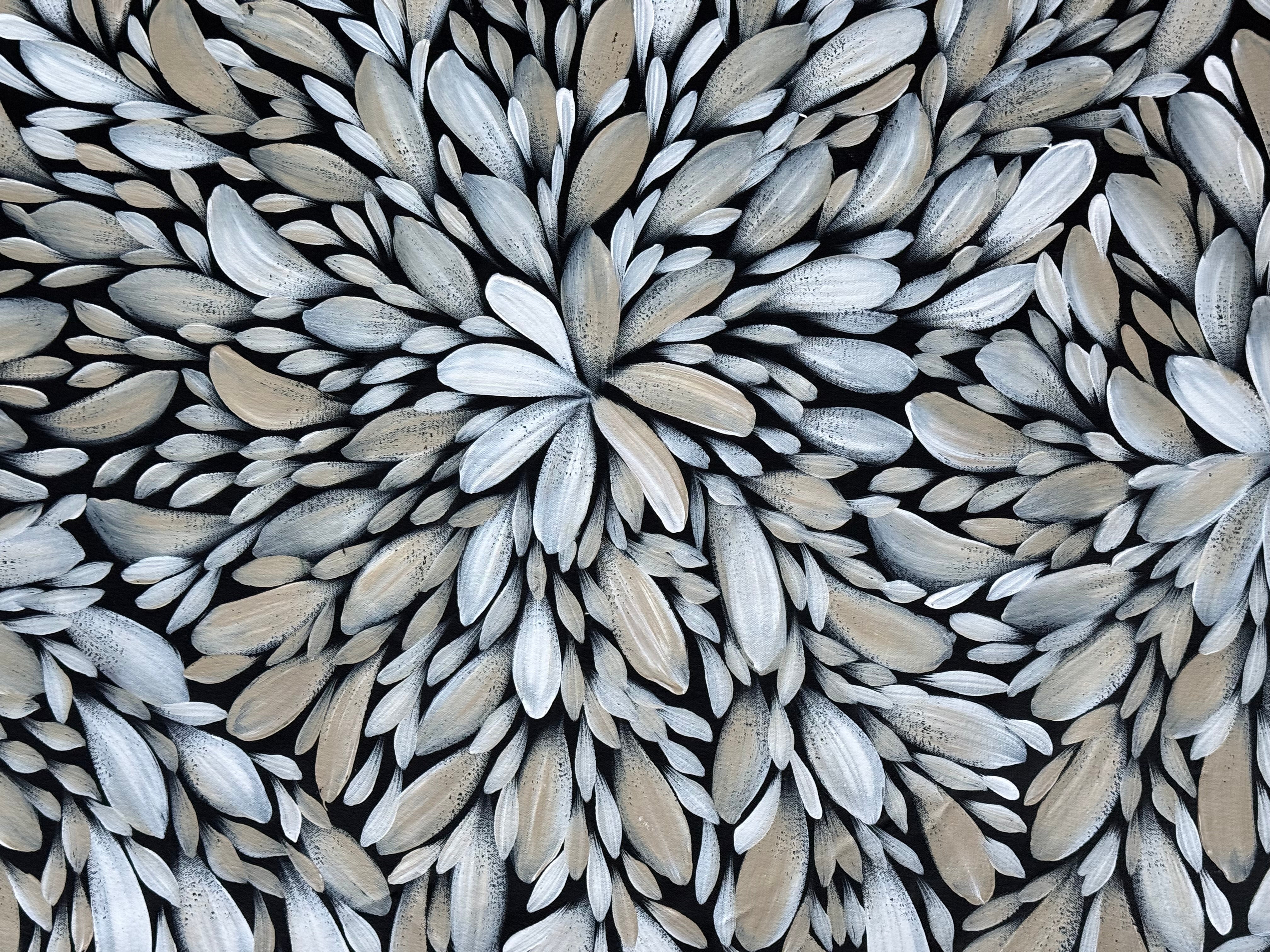Louise Numina Napananka - Bush Medicine Leaves .16-35