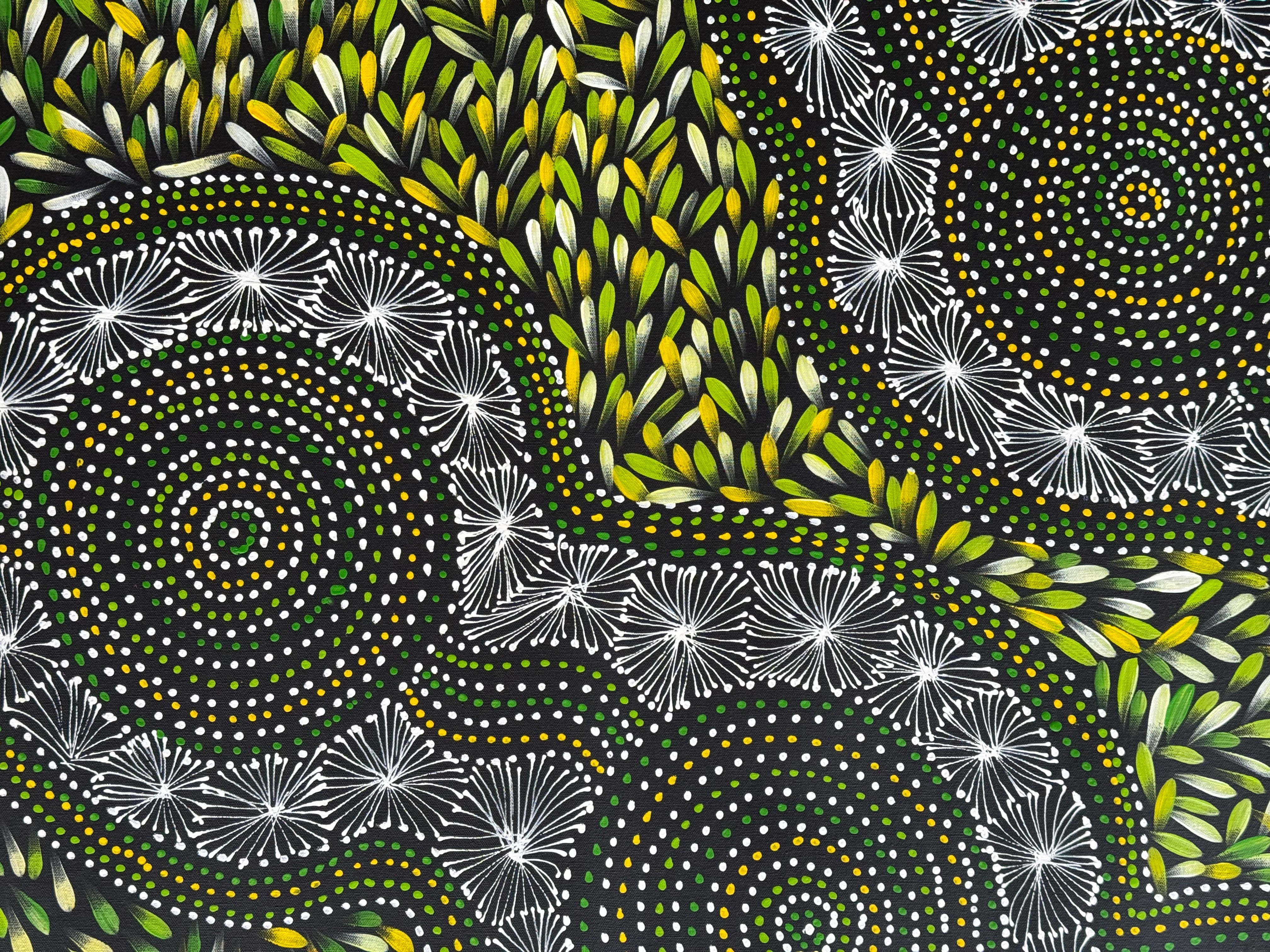 Selina Numina Kamprina - Seeds and Waterholes .92-13