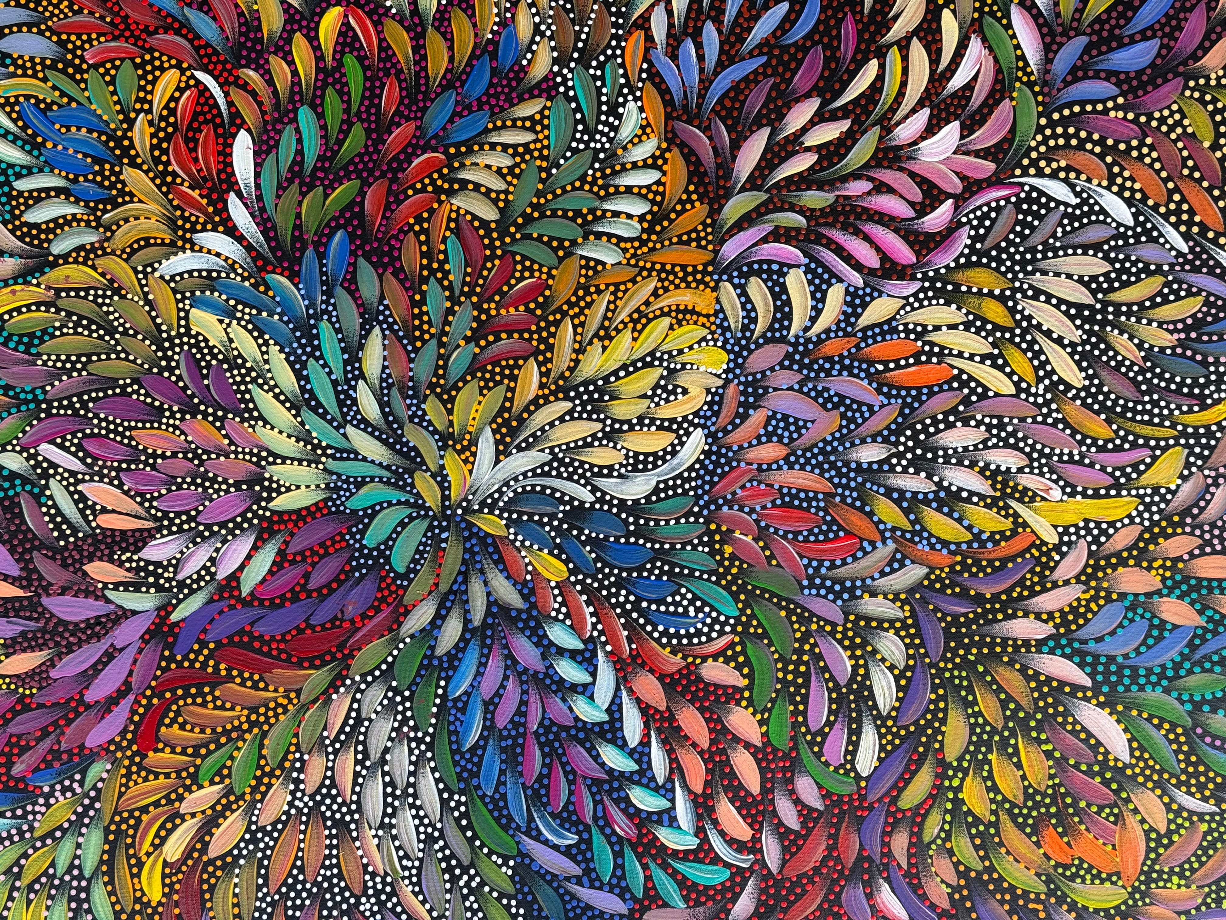 Caroline Numina - Bush Medicine Leaves and Seeds .87-4