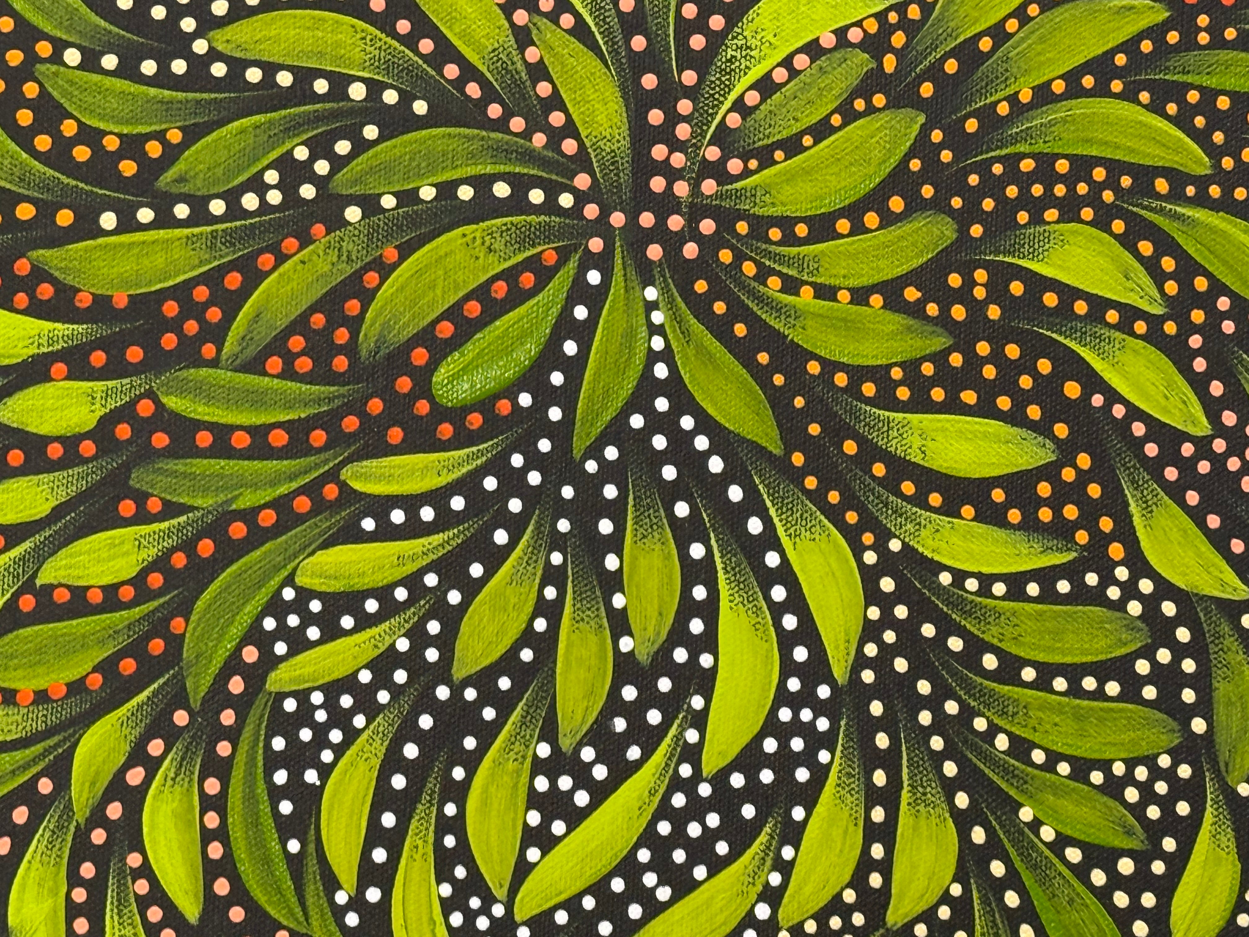 Caroline Numina - Bush Medicine Leaves and Seeds .04-17