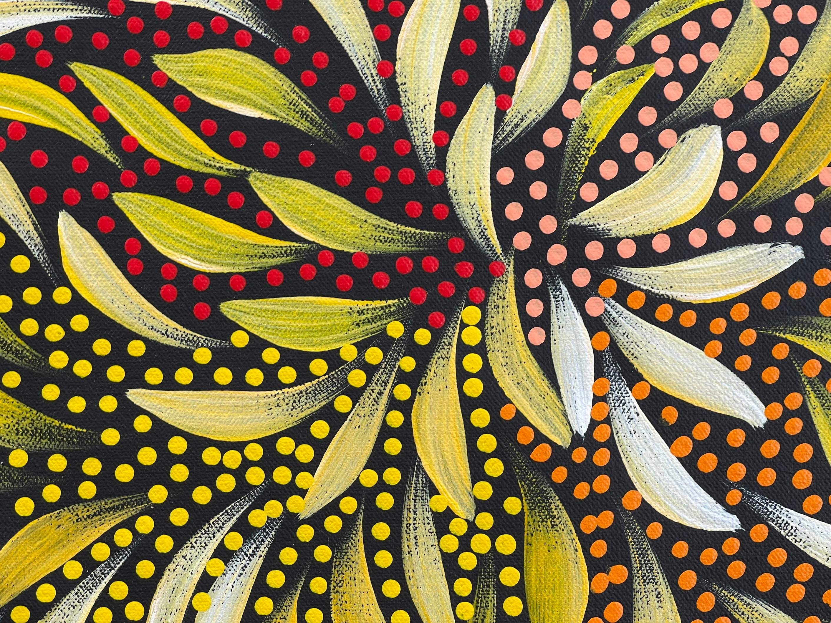 Caroline Numina - Bush Medicine Leaves and Seeds .25-6