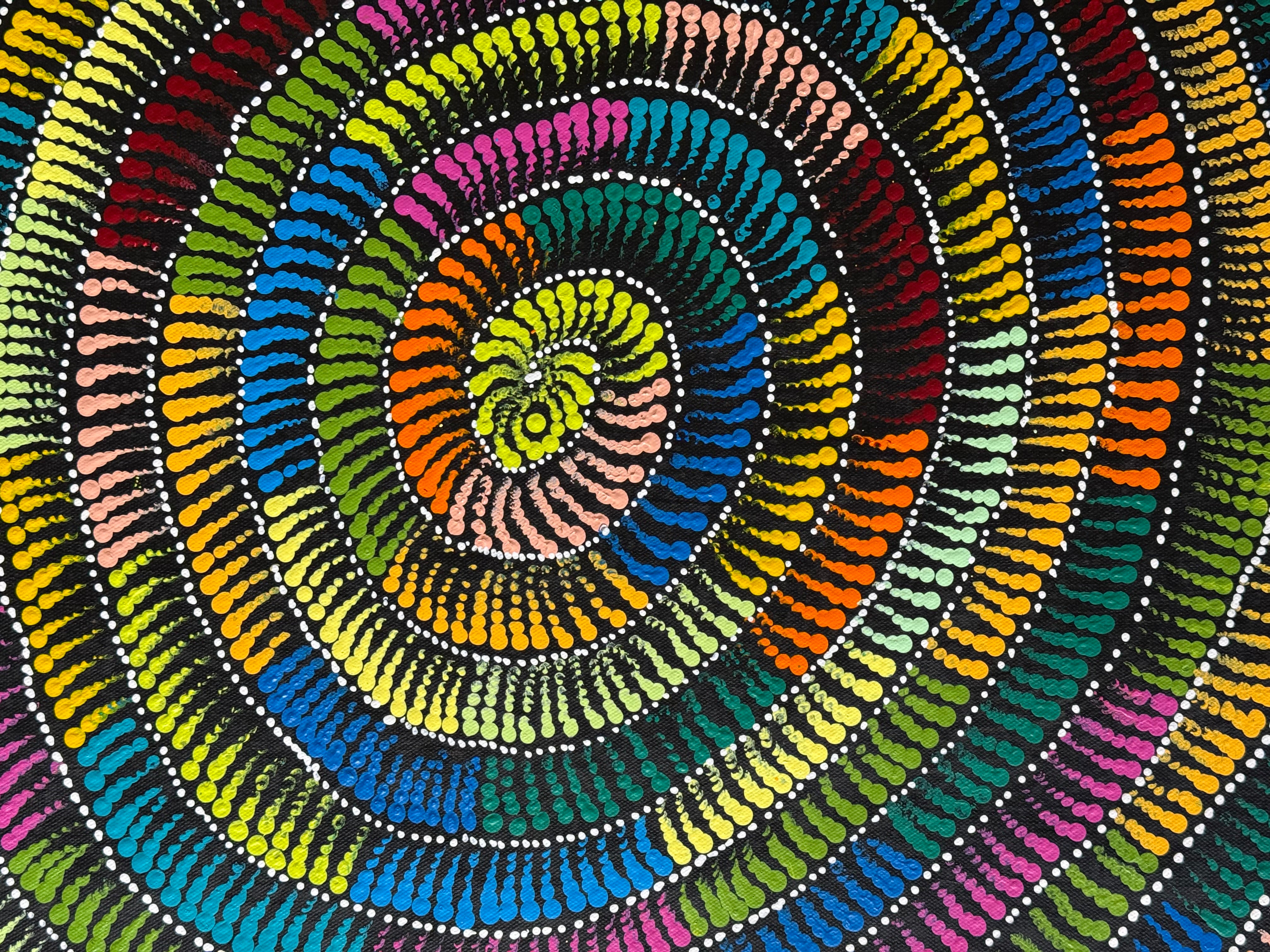 Maria Nampijinpa Brown - Flying Ants Dreaming .12-2