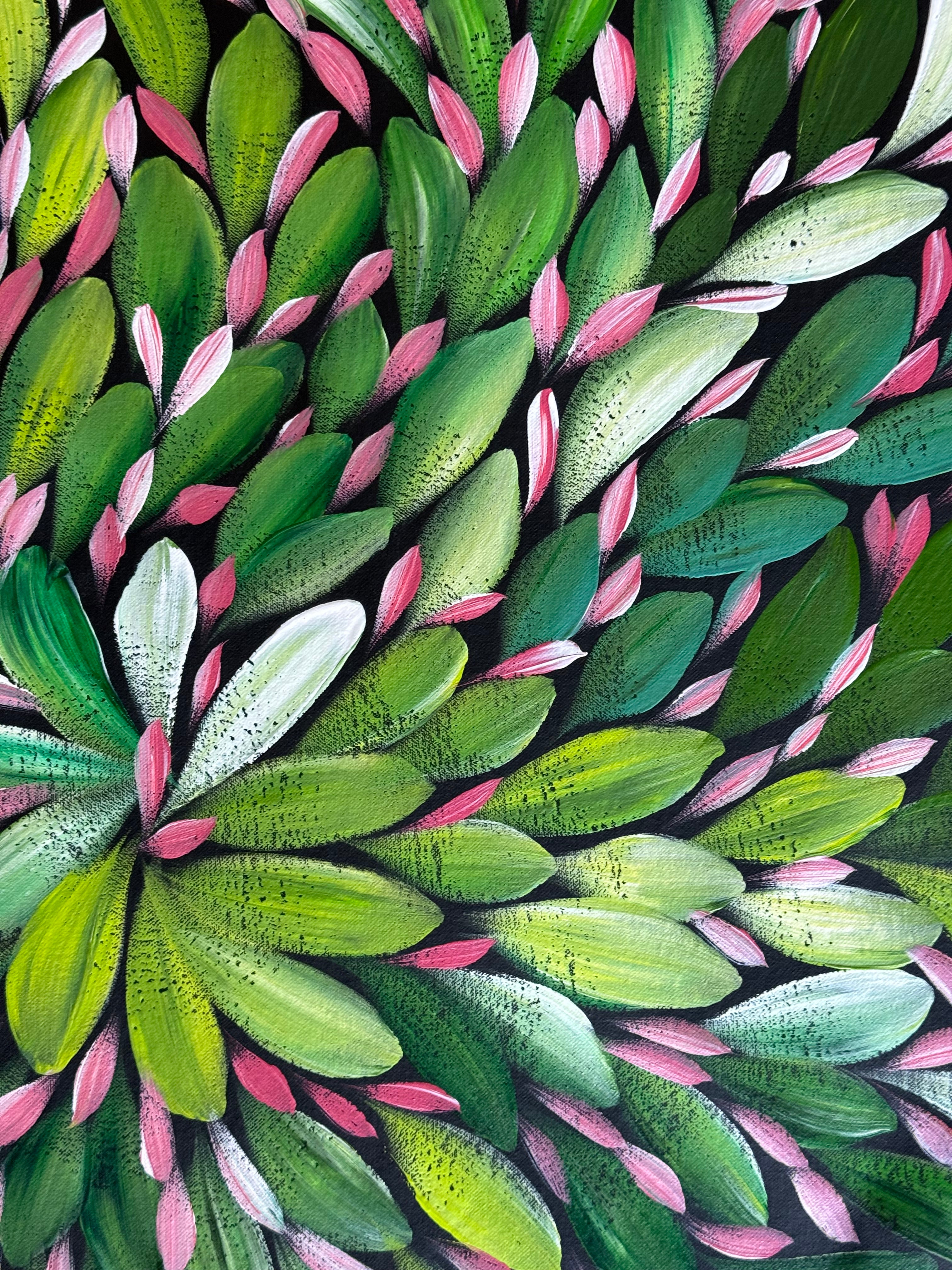 Louise Numina Napananka - Bush Medicine Leaves .22-28