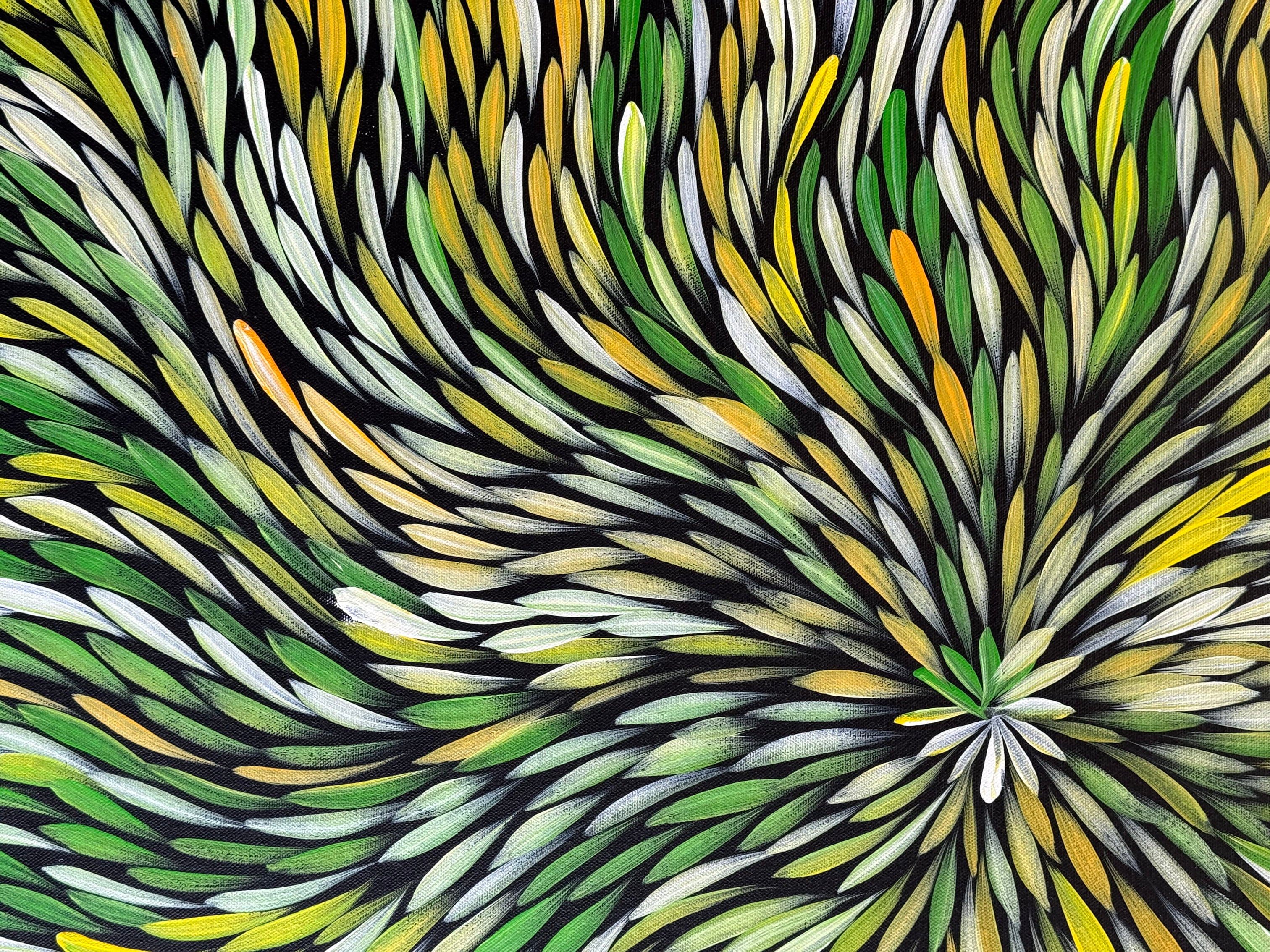 Sharon Numina - Bush Medicine Leaves - 67x89cm .14-26