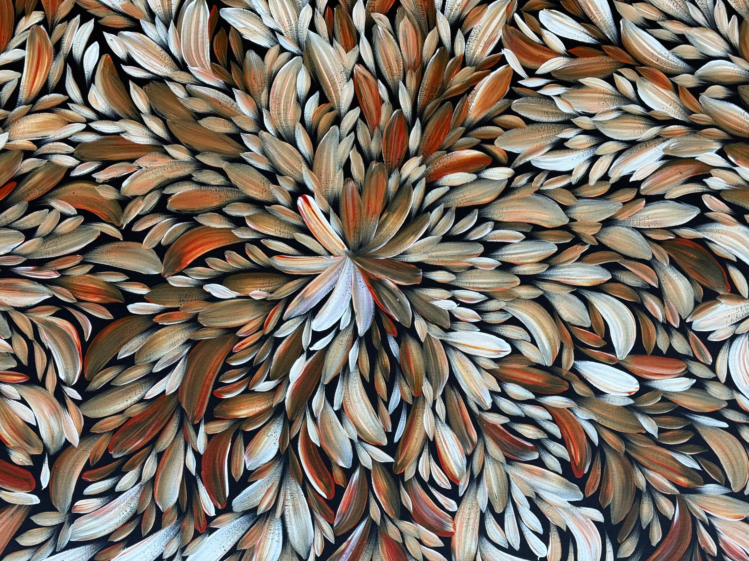 Louise Numina Napananka - Bush Medicine Leaves .41-18