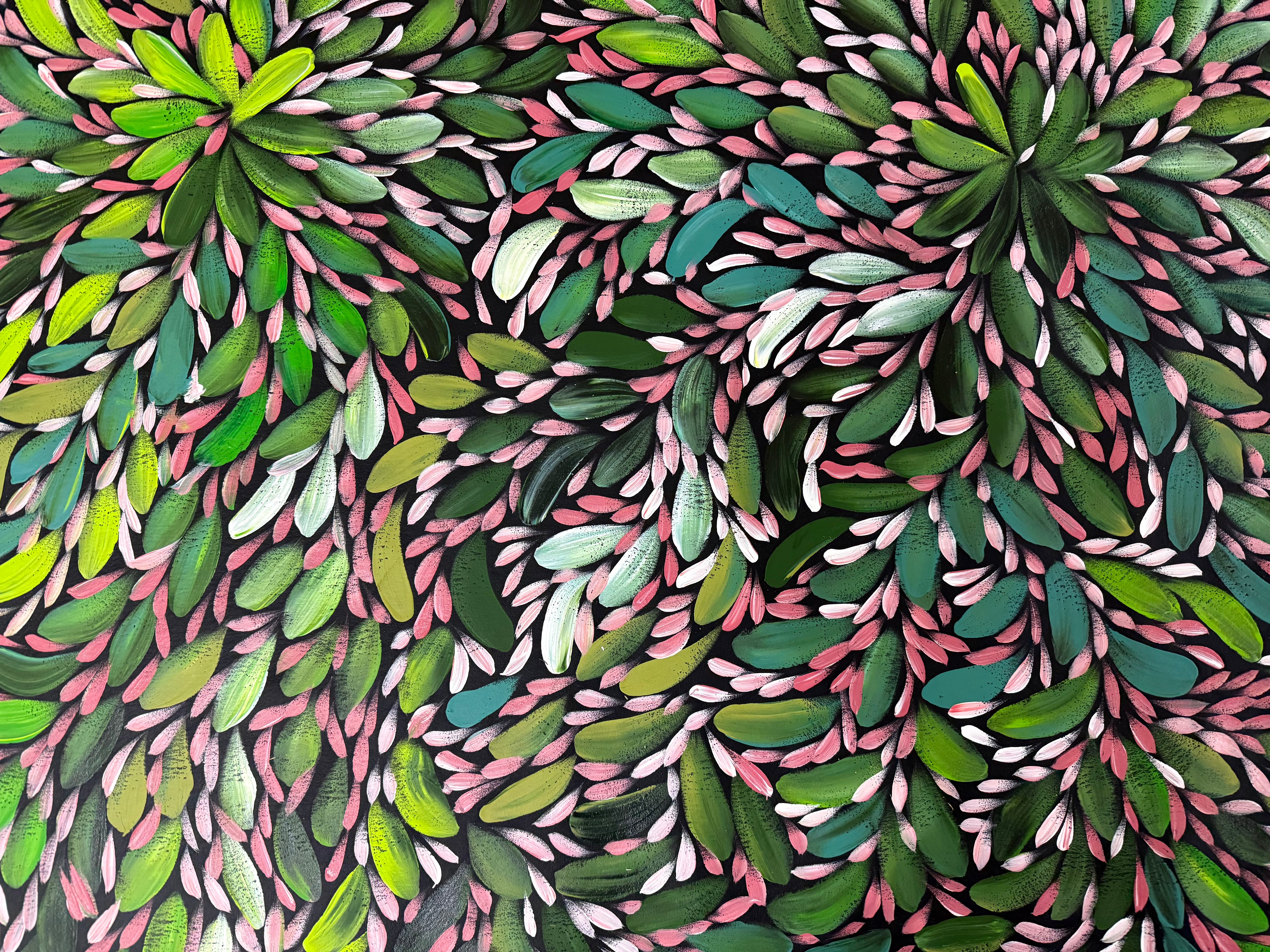Louise Numina Napananka - Bush Medicine Leaves .22-10