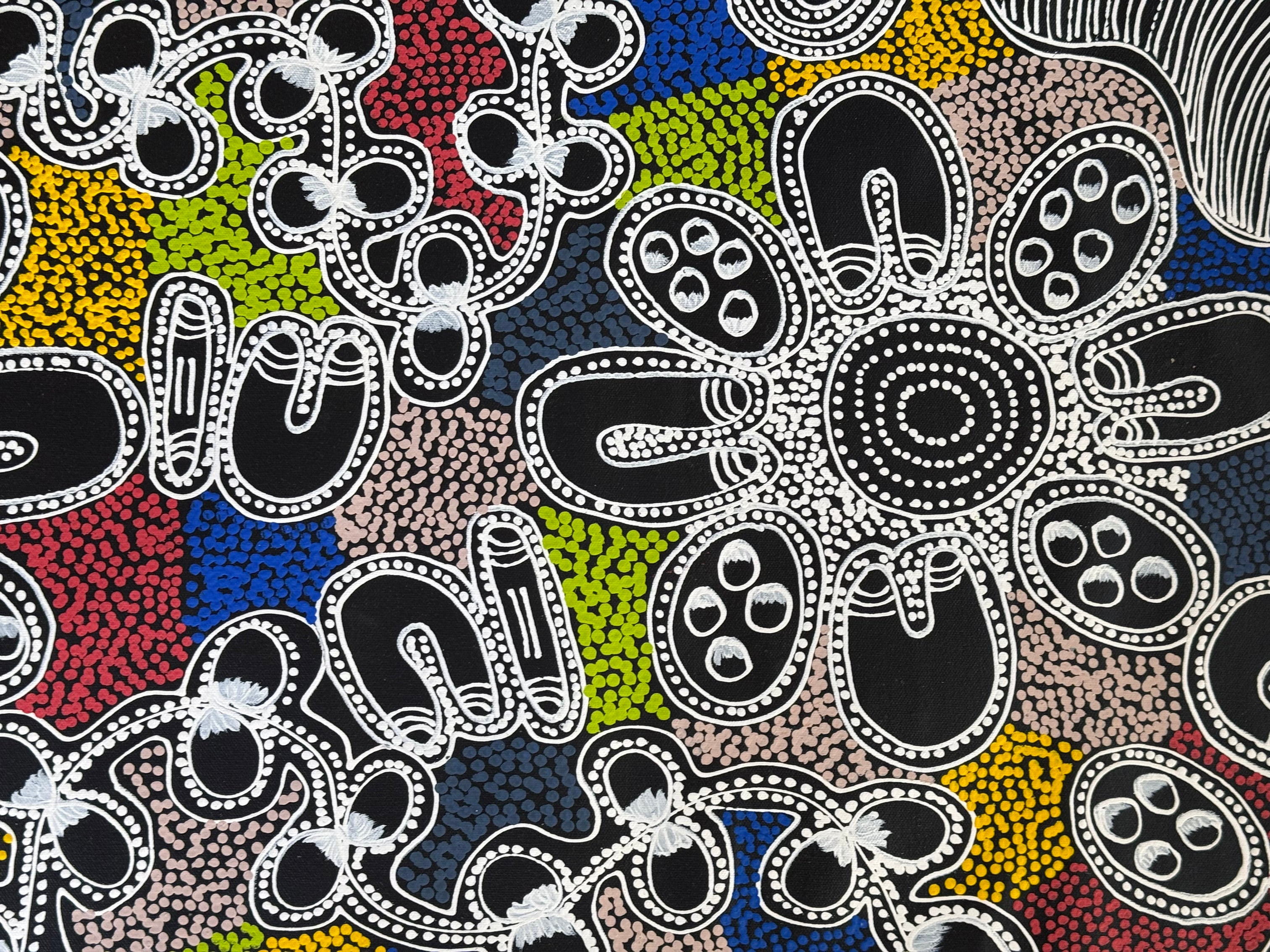 Lanita Numina - Women Collect Bush Plums, Medicine Seeds - 151x42cm .13-7