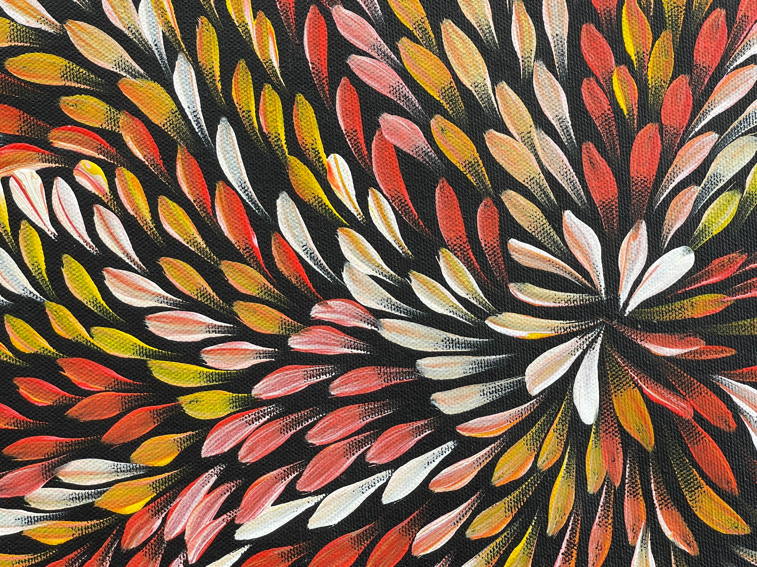 Caroline Numina - Bush Medicine Leaves .60-3