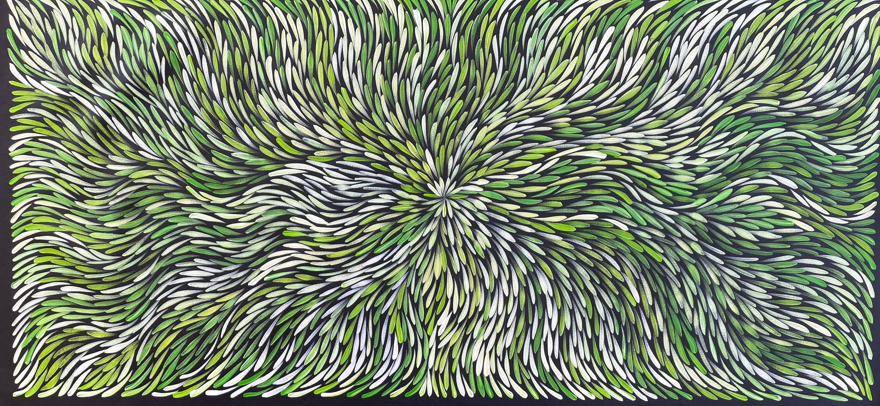 Sharon Numina - Bush Medicine Leaves - 143x67 .28-22