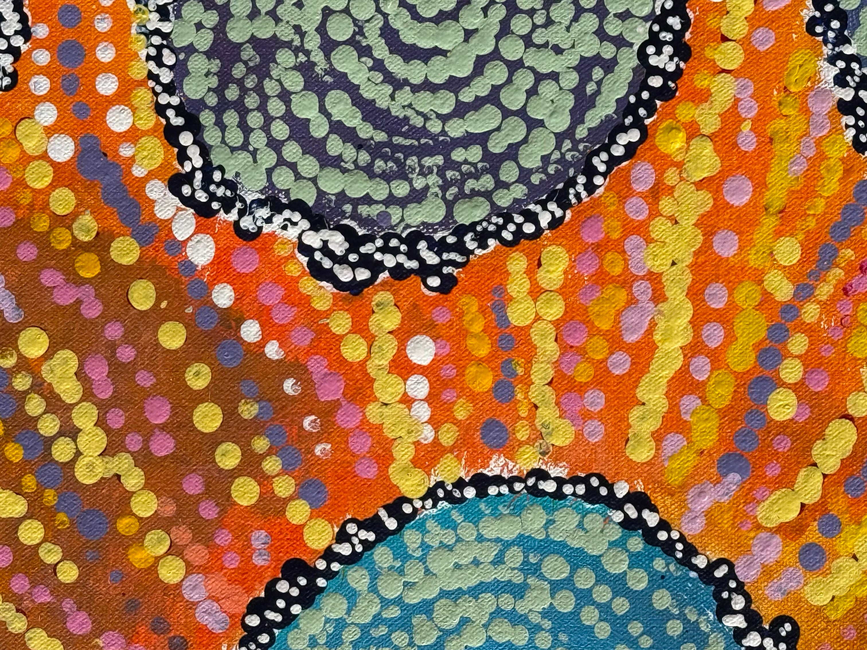 Maria Nampijinpa Brown - Seven Sisters Dreaming .48-2