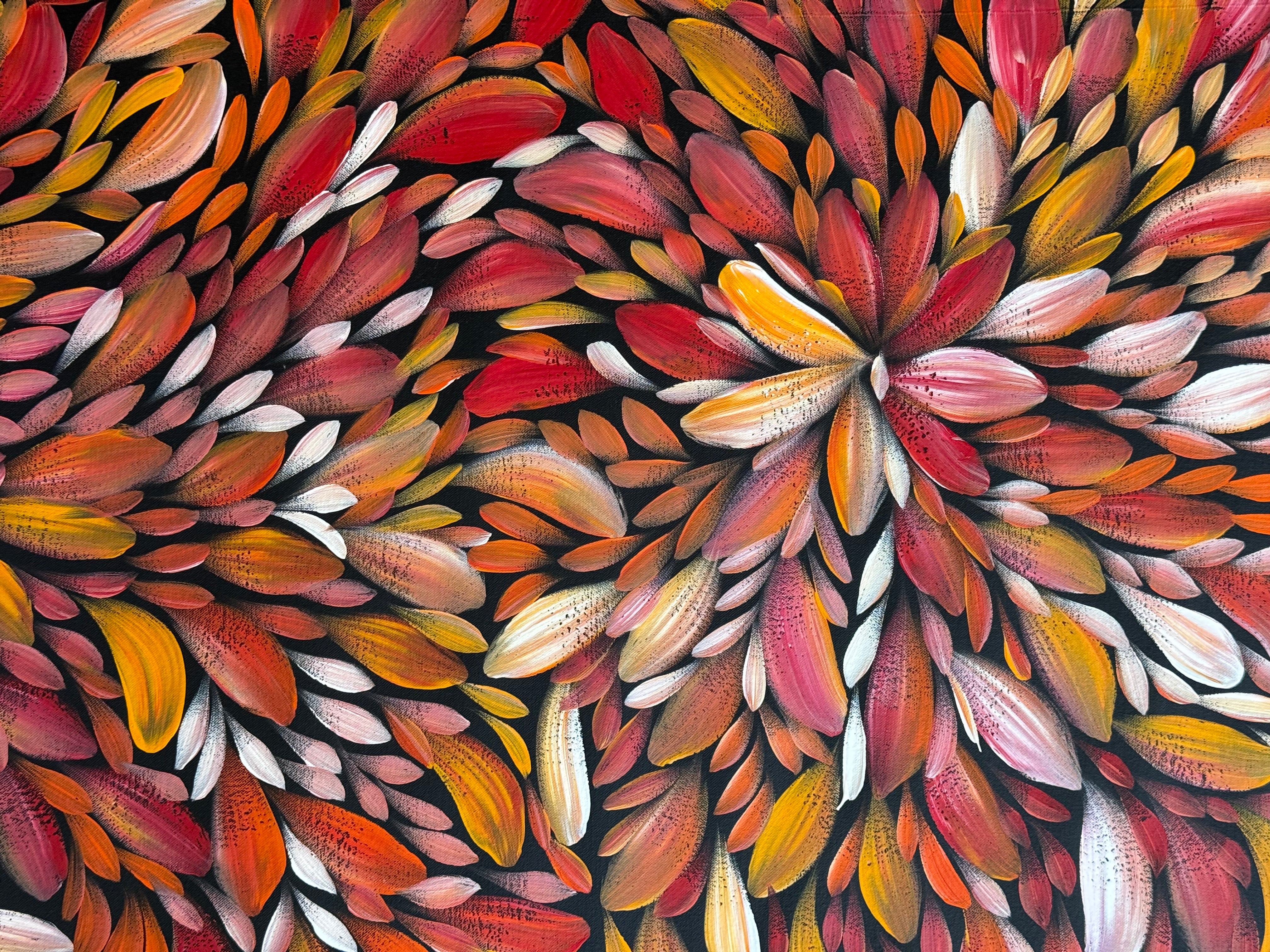 Louise Numina Napananka - Bush Medicine Leaves .57-50