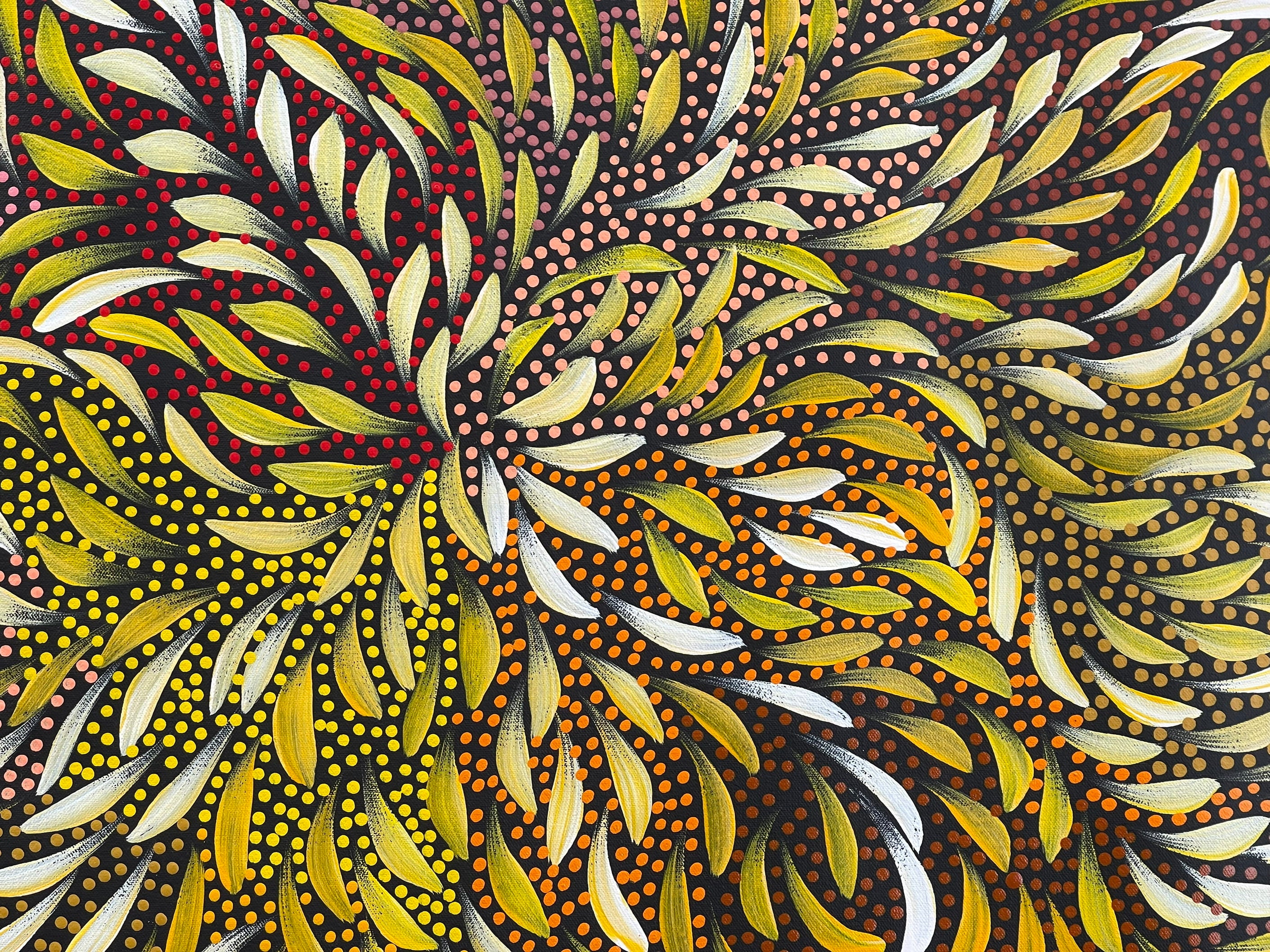 Caroline Numina - Bush Medicine Leaves and Seeds .25-6