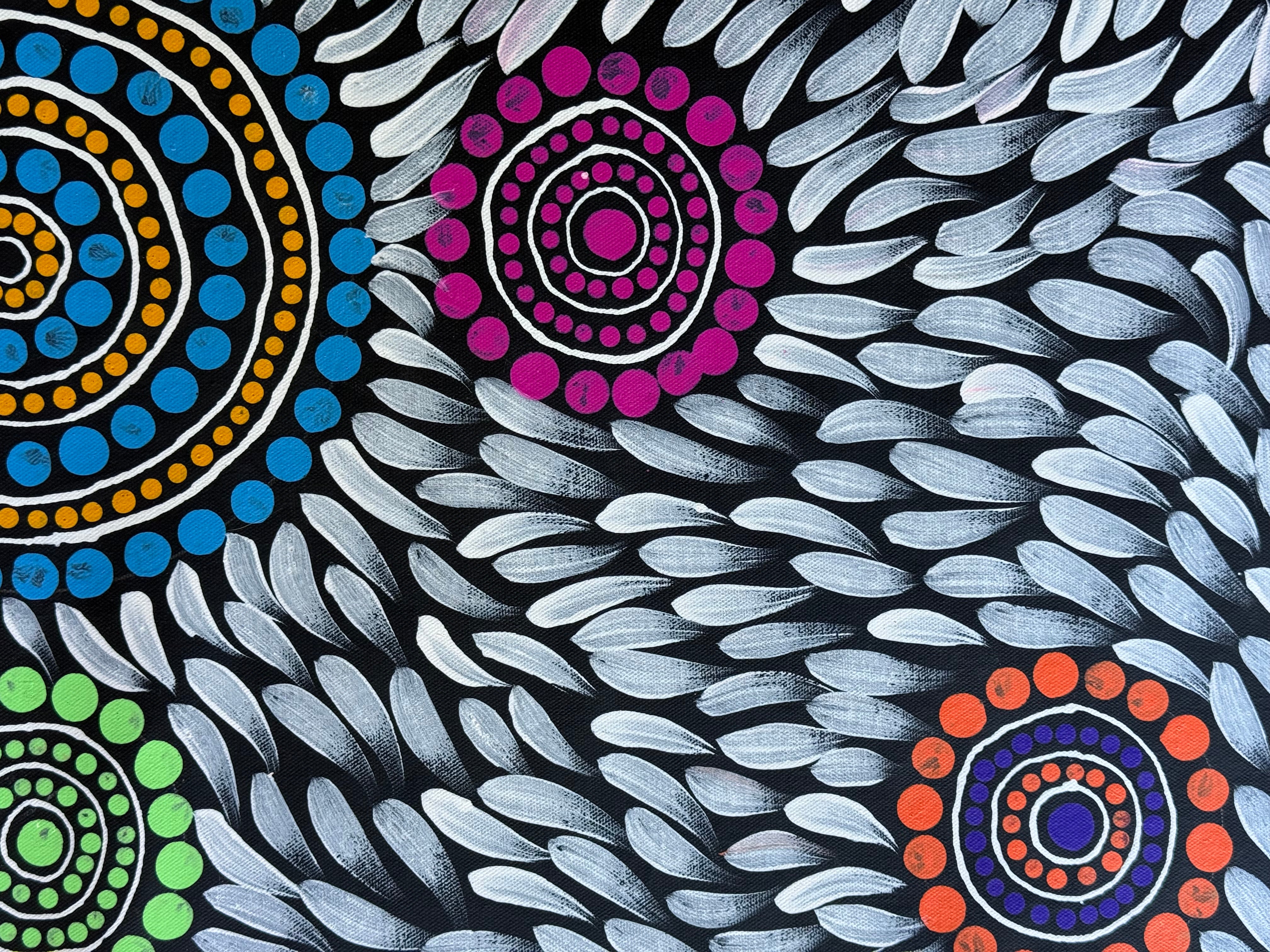 Sabina Gorey - Bush Medicine Leaves .04-1