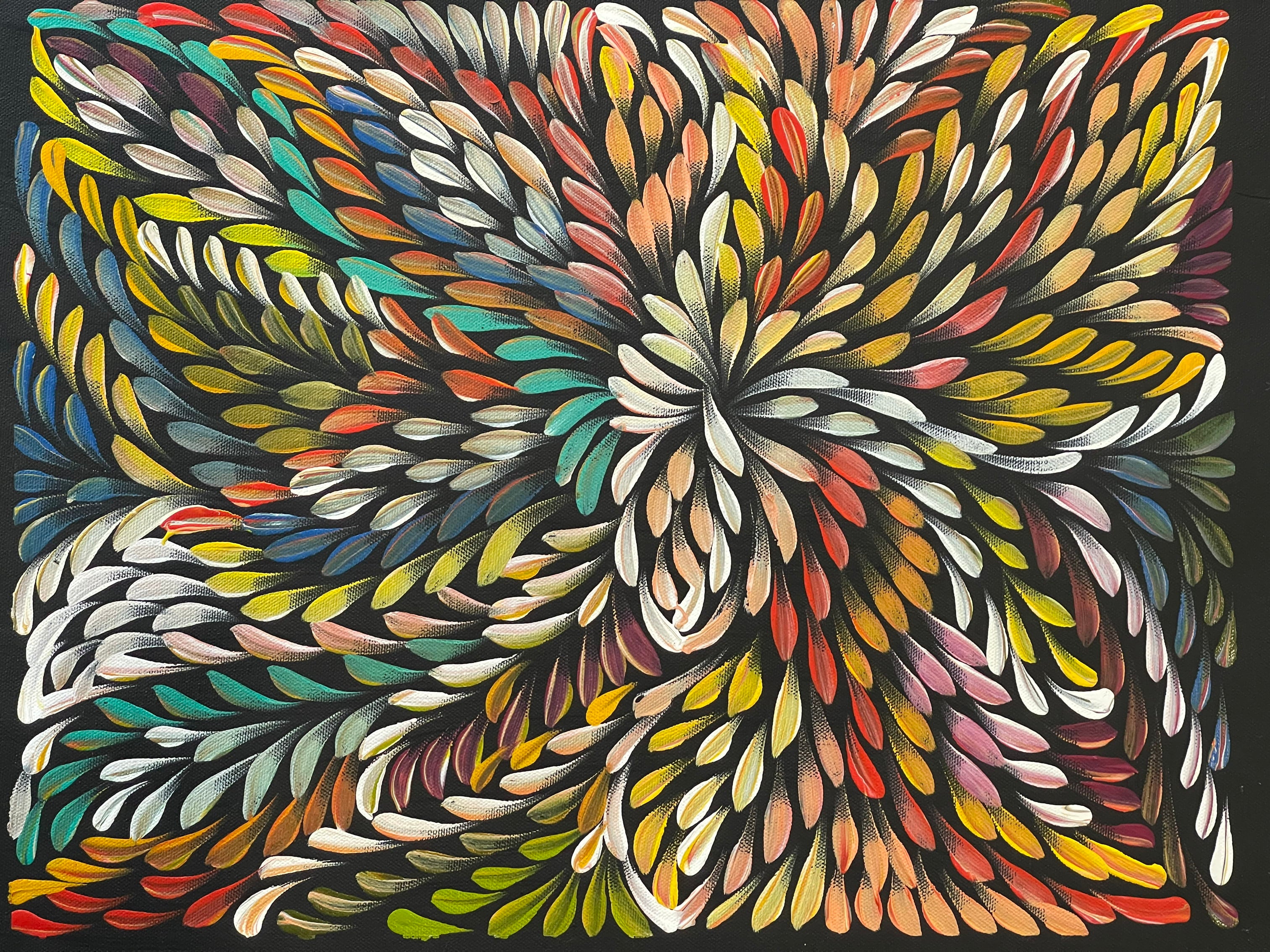 Caroline Numina - Bush Medicine Leaves - 43x33cm .31-8