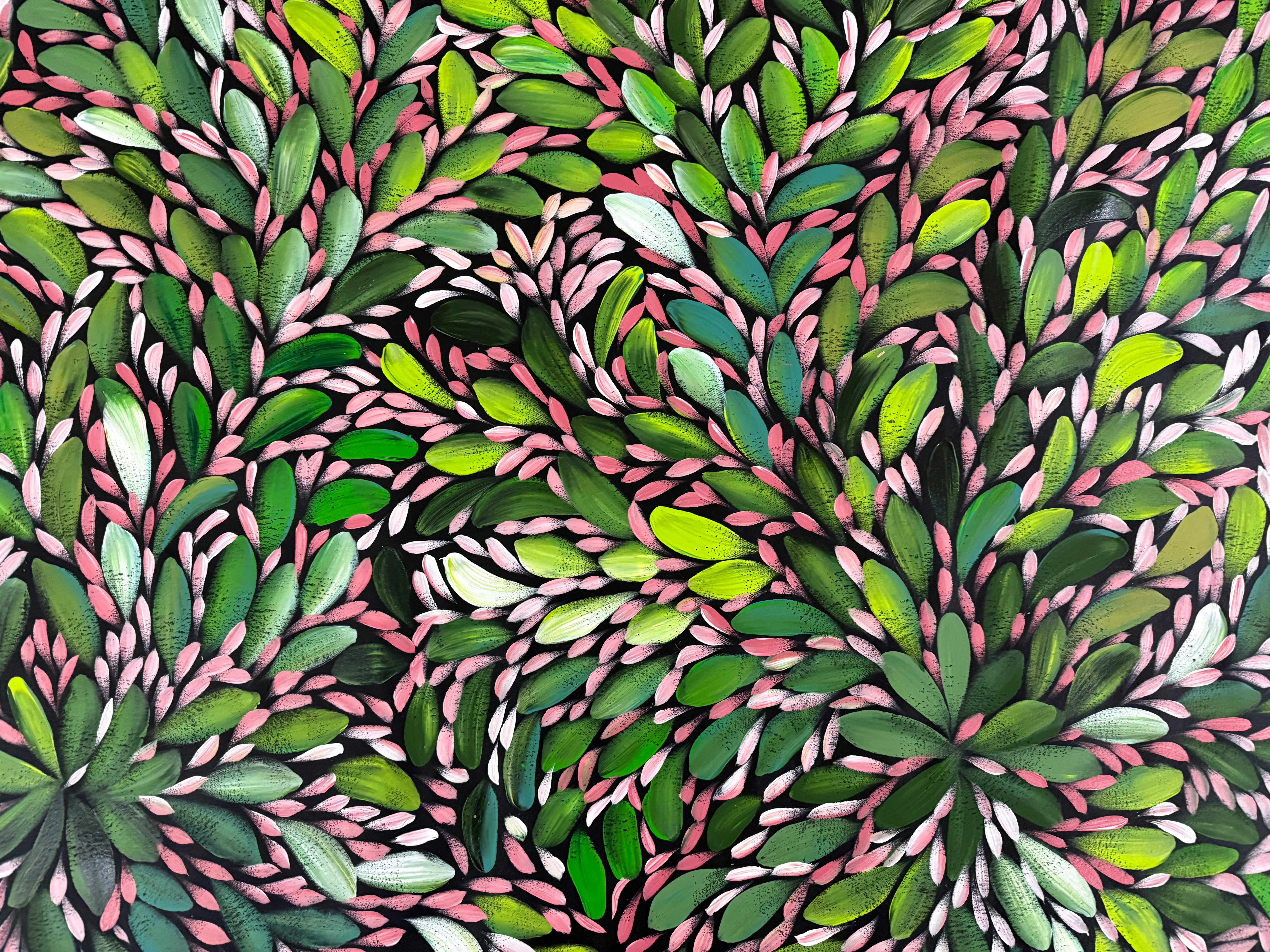 Louise Numina Napananka - Bush Medicine Leaves .22-10