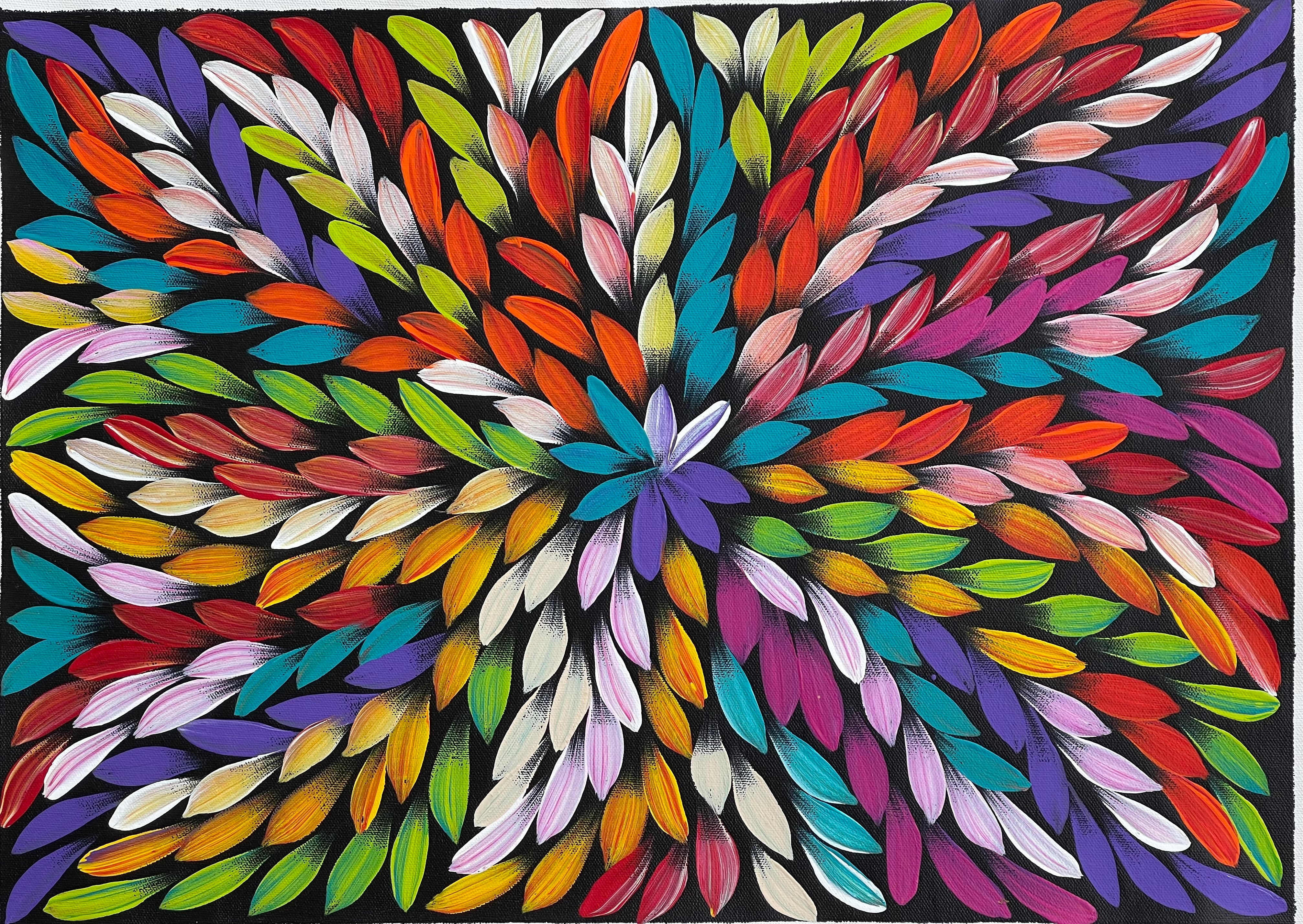 Jacinta Numina - Bush Medicine Leaves - 36x52cm .57-3