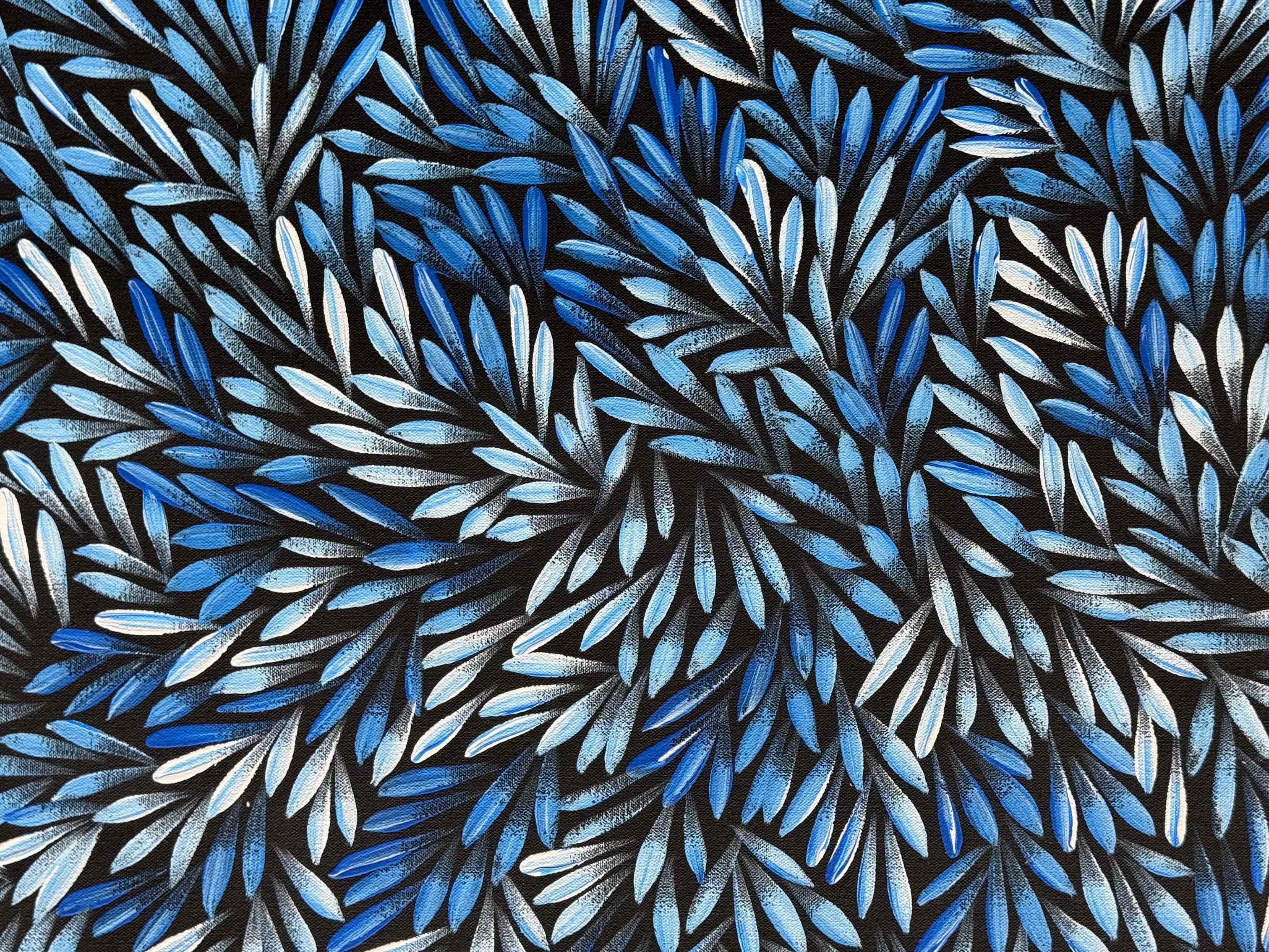 Sharon Numina - Bush Medicine Leaves .59-3