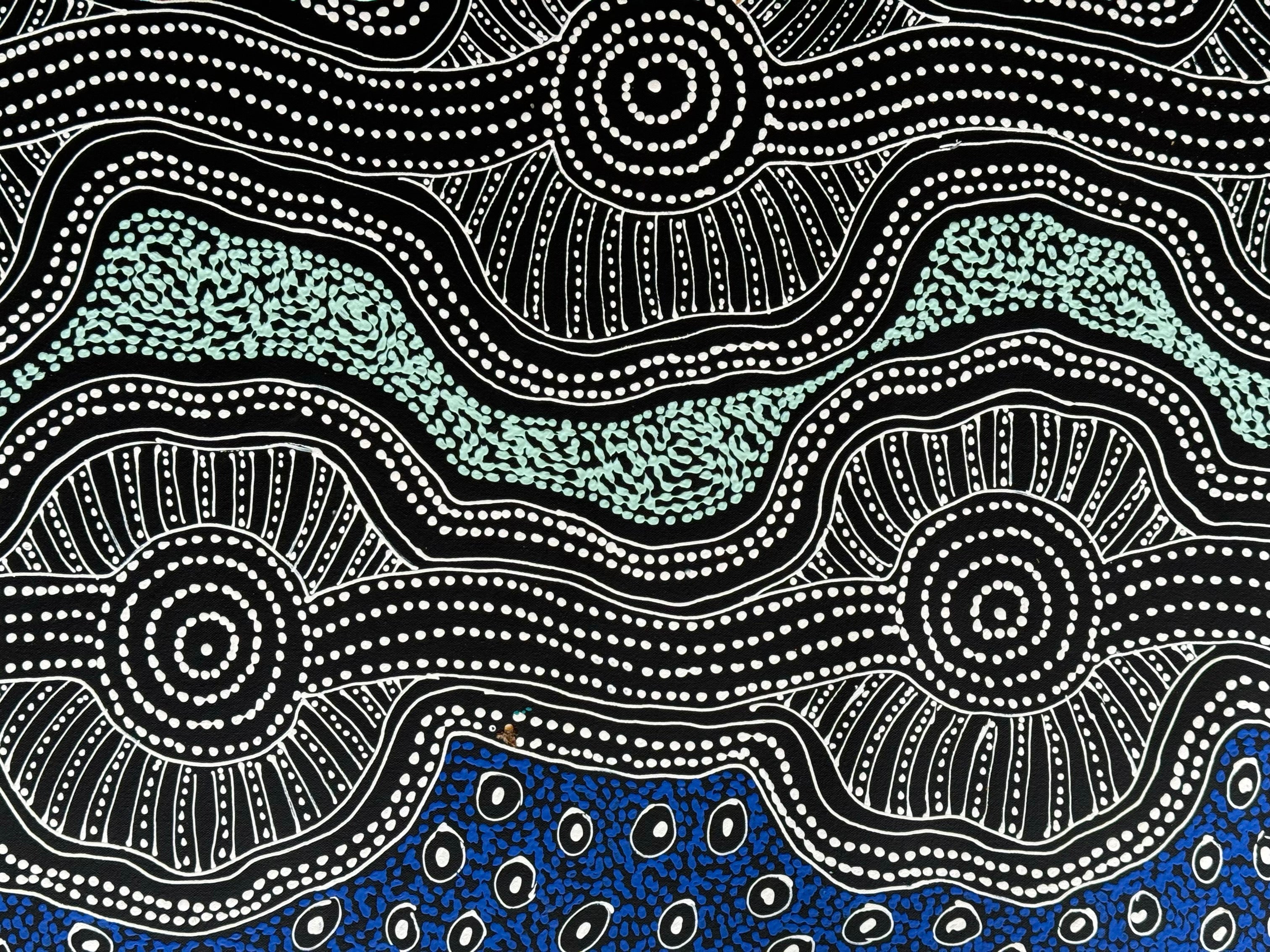 Sharon Numina - Emu Dreaming .50-4