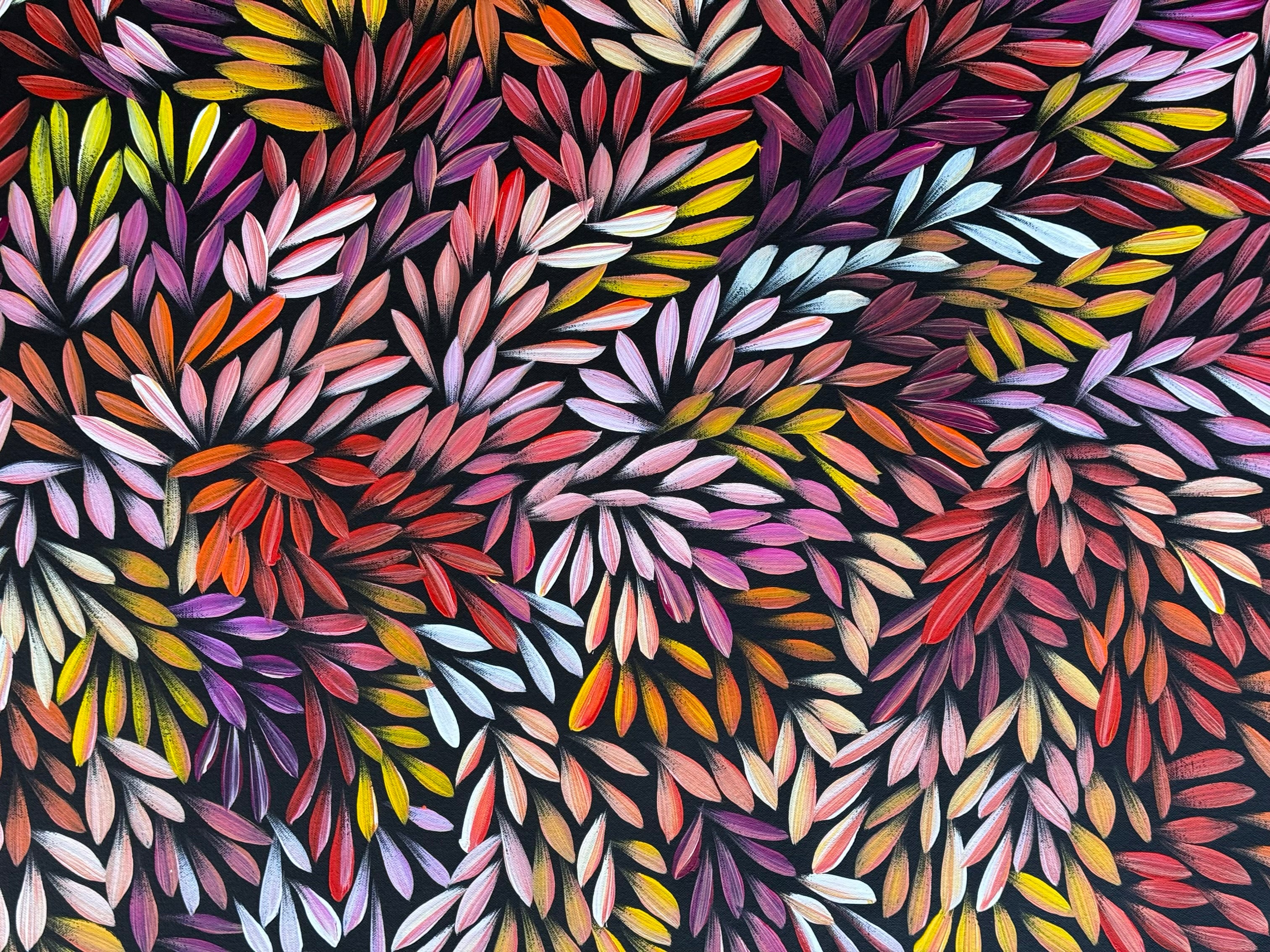 Sharon Numina - Bush Medicine Leaves .50-18