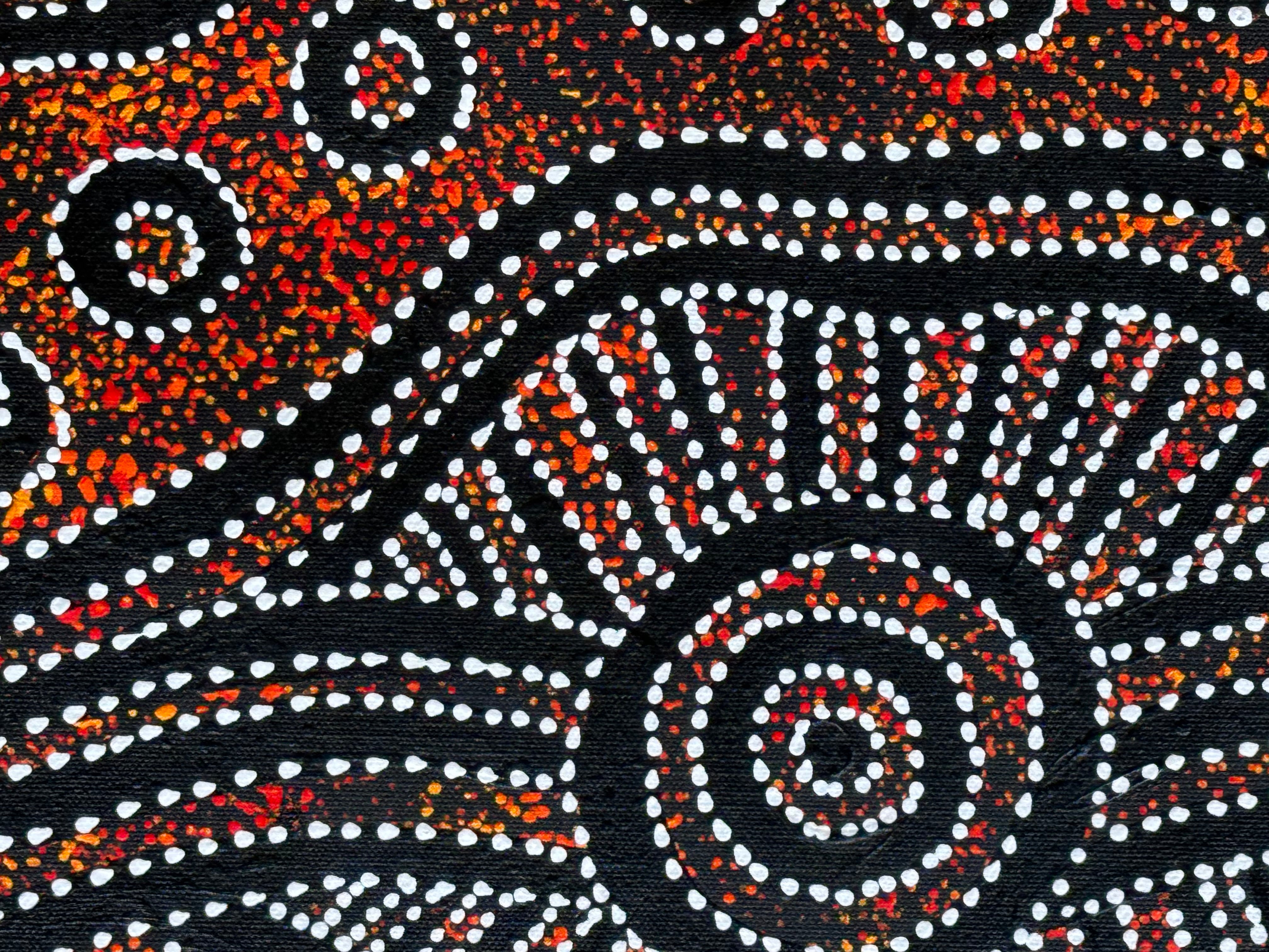 Sharon Numina - Emu Dreaming .48-5