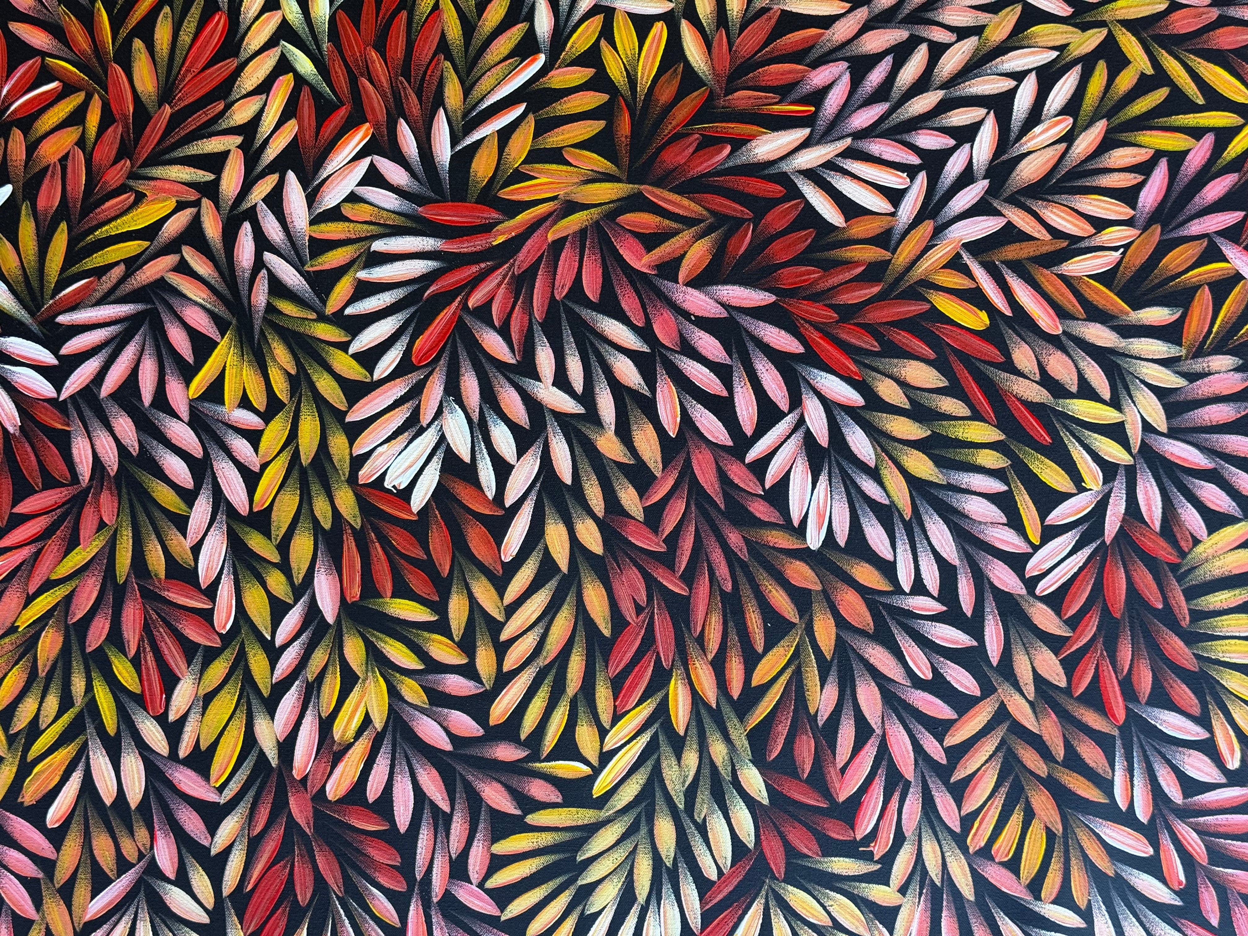 Sharon Numina - Bush Medicine Leaves .83-1