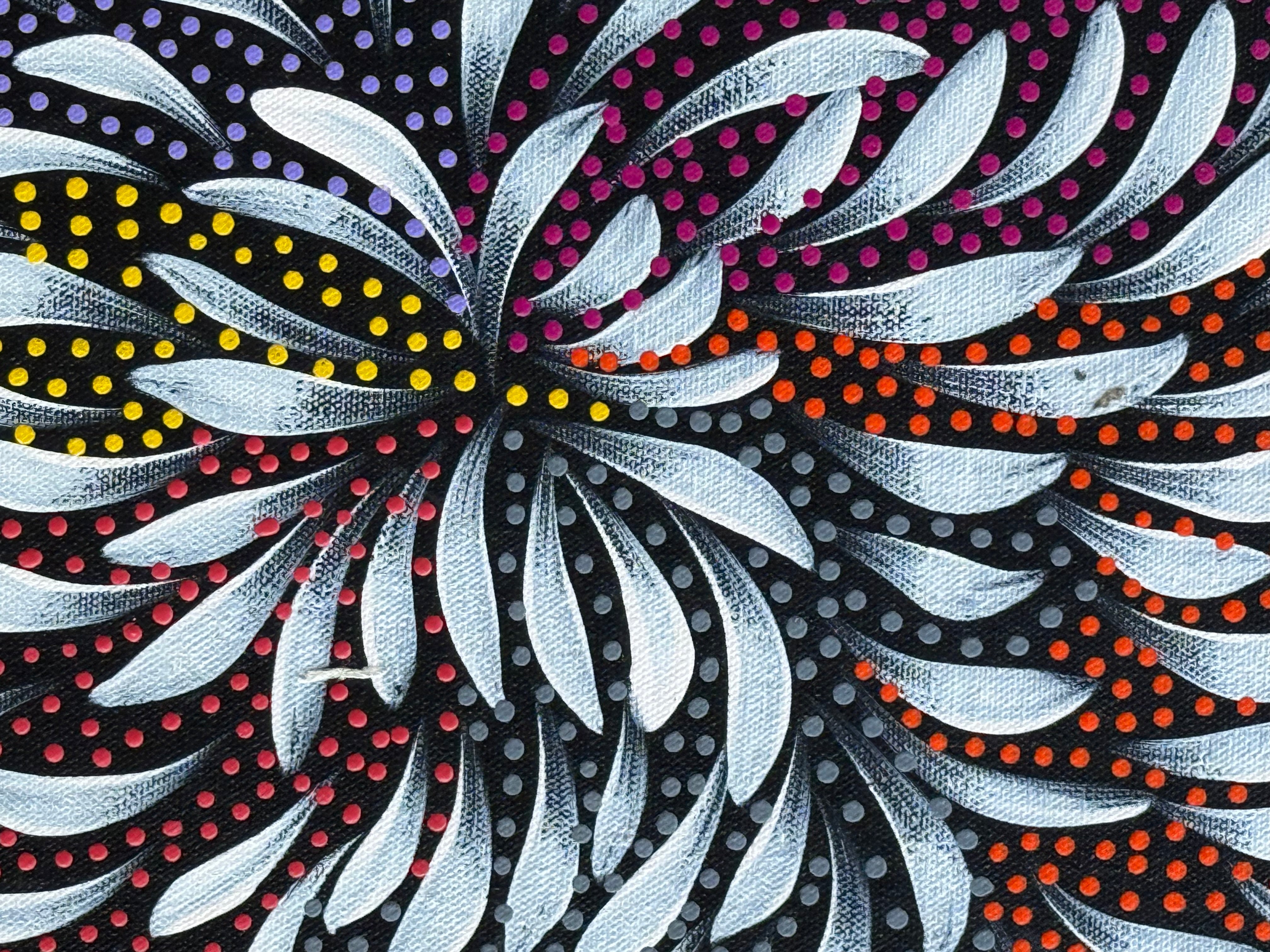 Caroline Numina - Seeded Bush Medicine Leaves .04-27