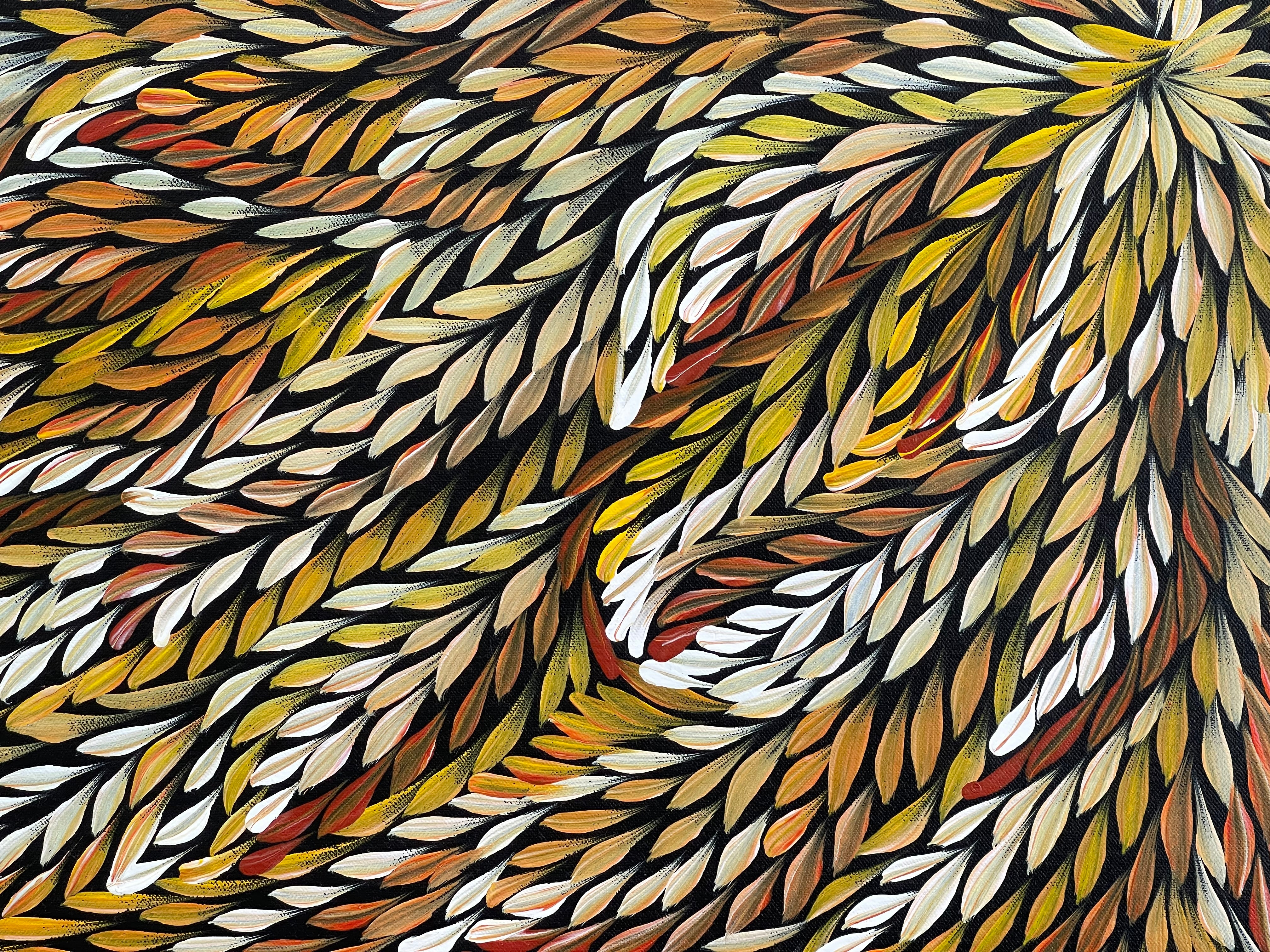 Caroline Numina - Bush Medicine Leaves .62-17