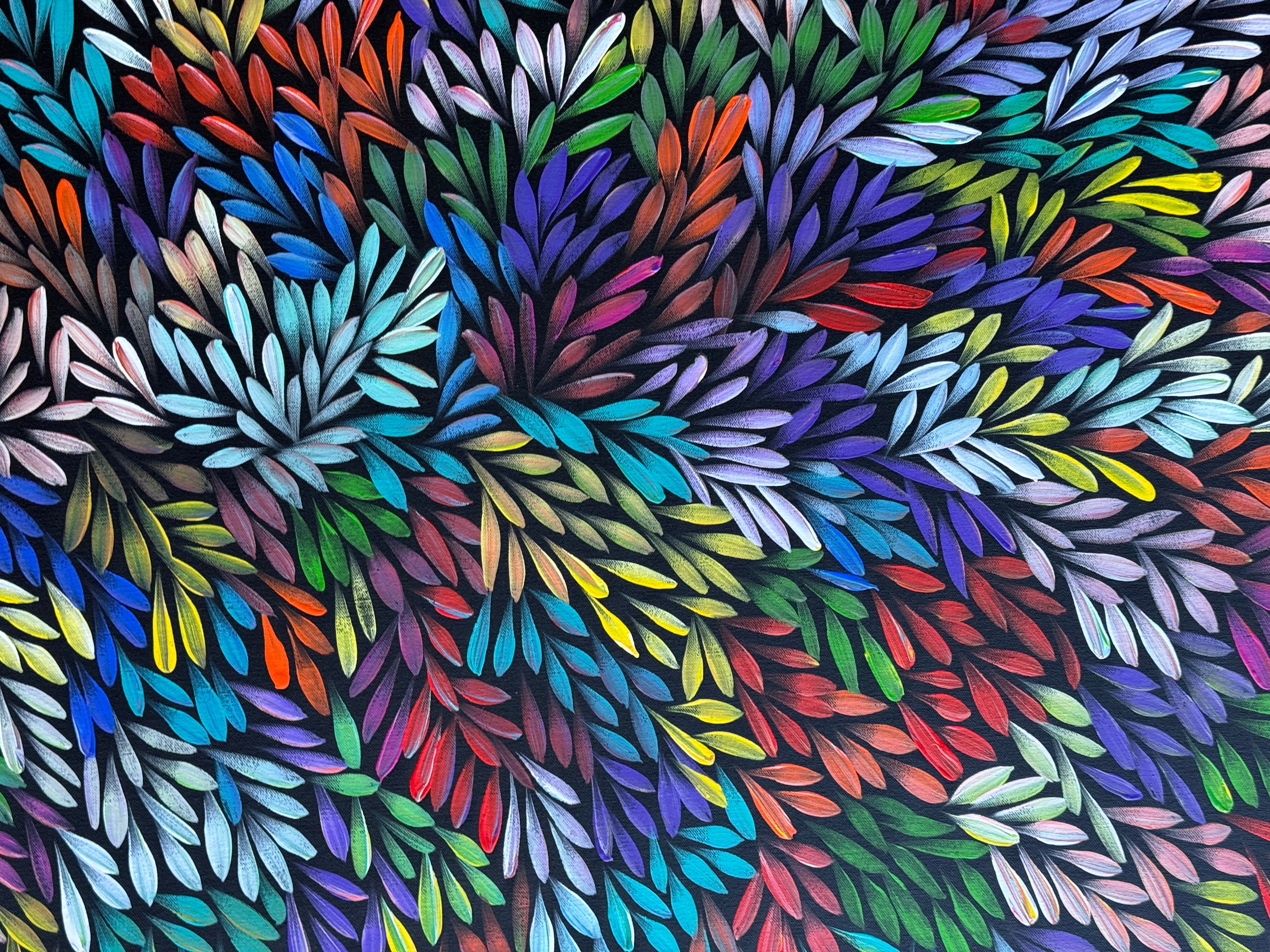 Sharon Numina - Bush Medicine Leaves .48-1
