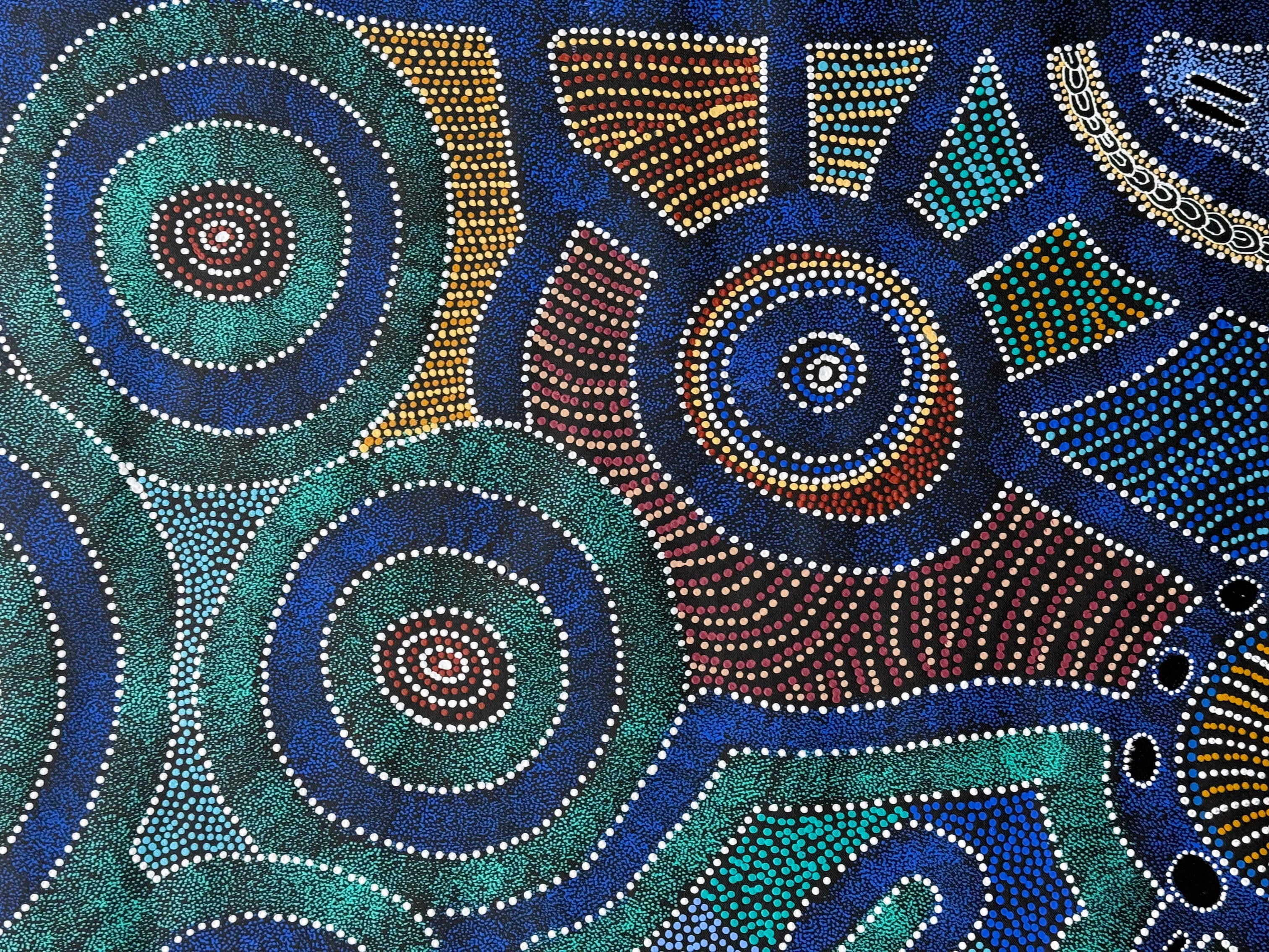 Sharon Turner - Thorny Lizard Dreaming - 167x89cm .33-13