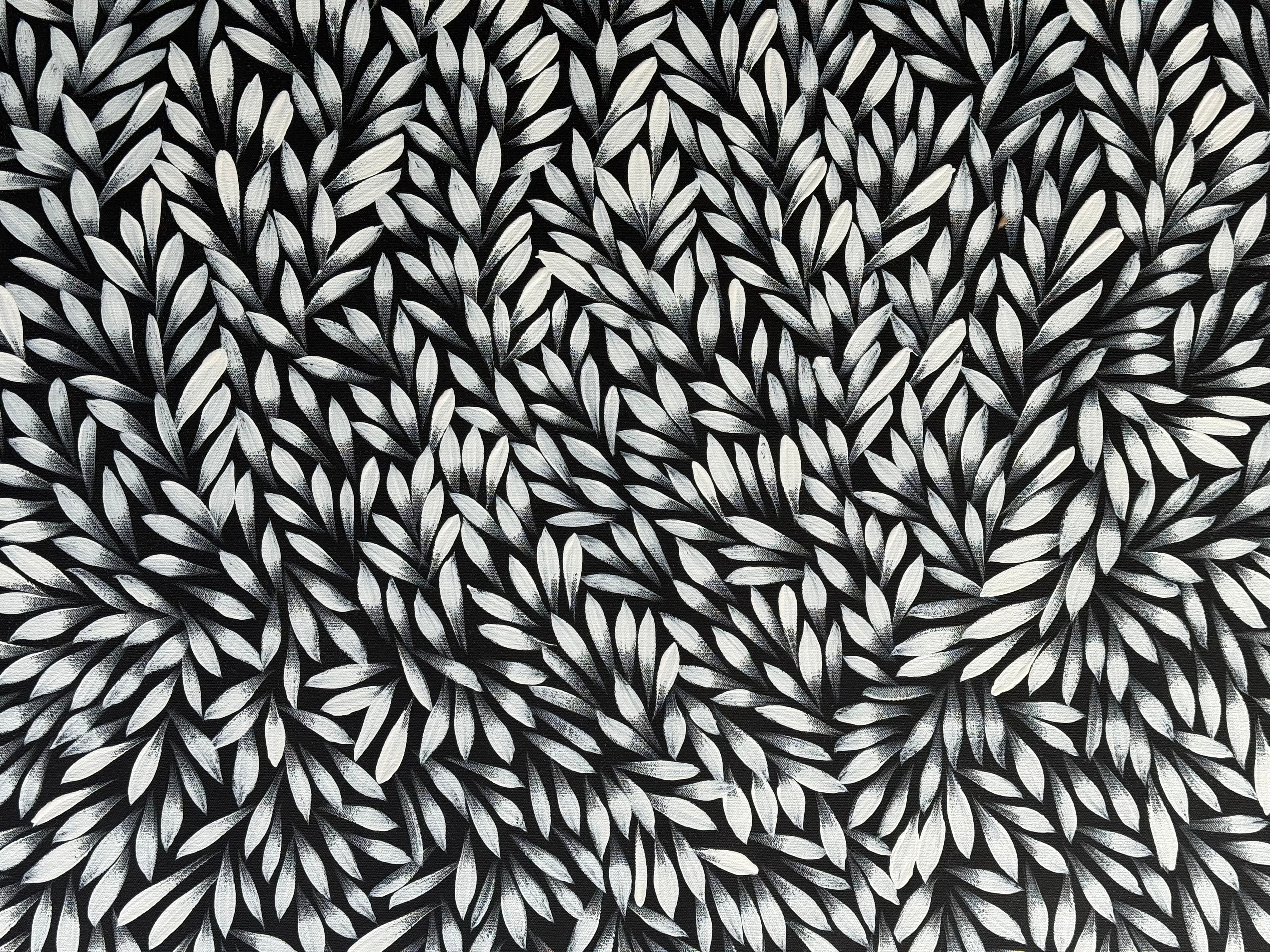 Sharon Numina - Bush Medicine Leaves .83-5