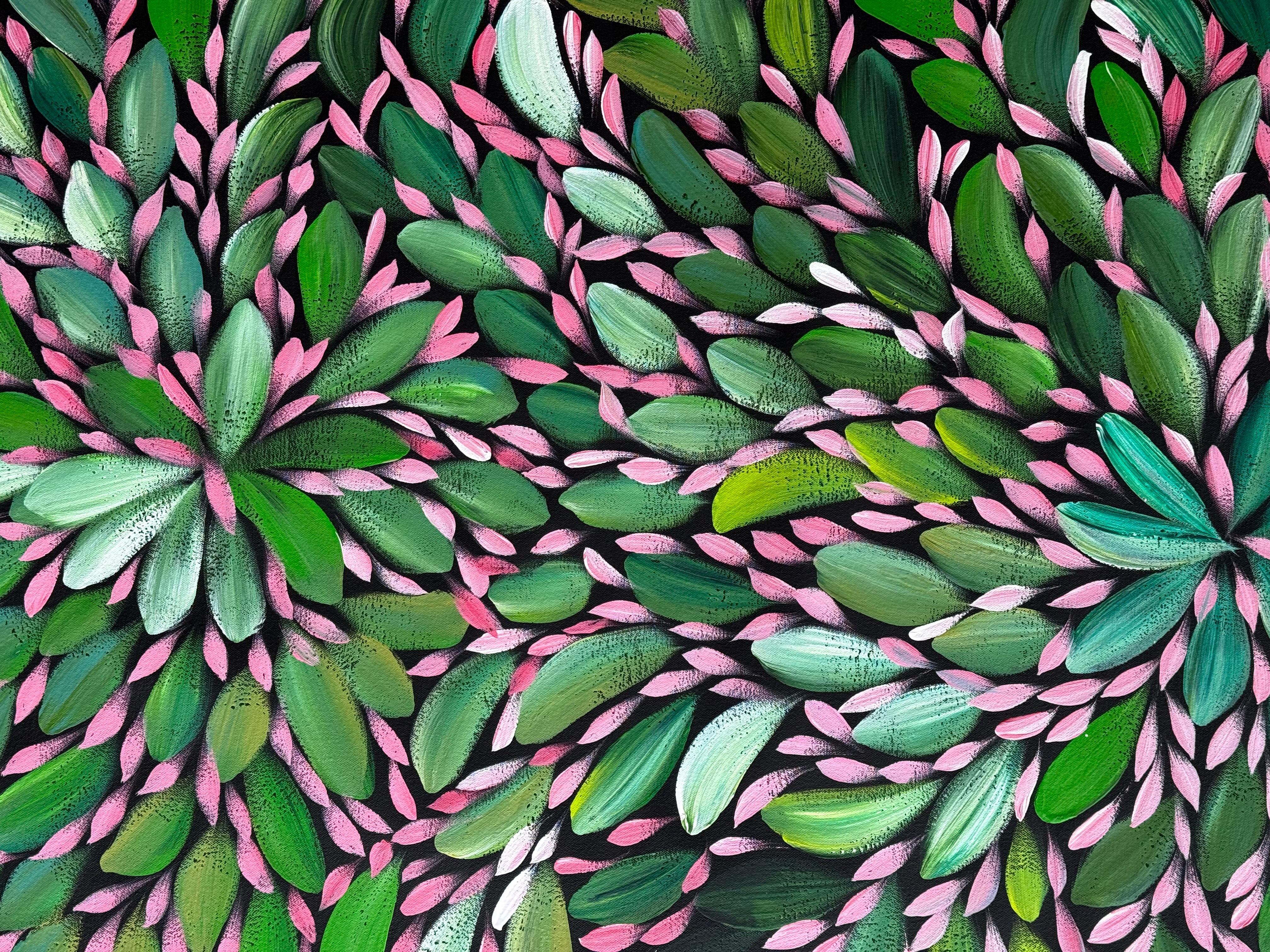Louise Numina Napananka - Bush Medicine Leaves .43-12