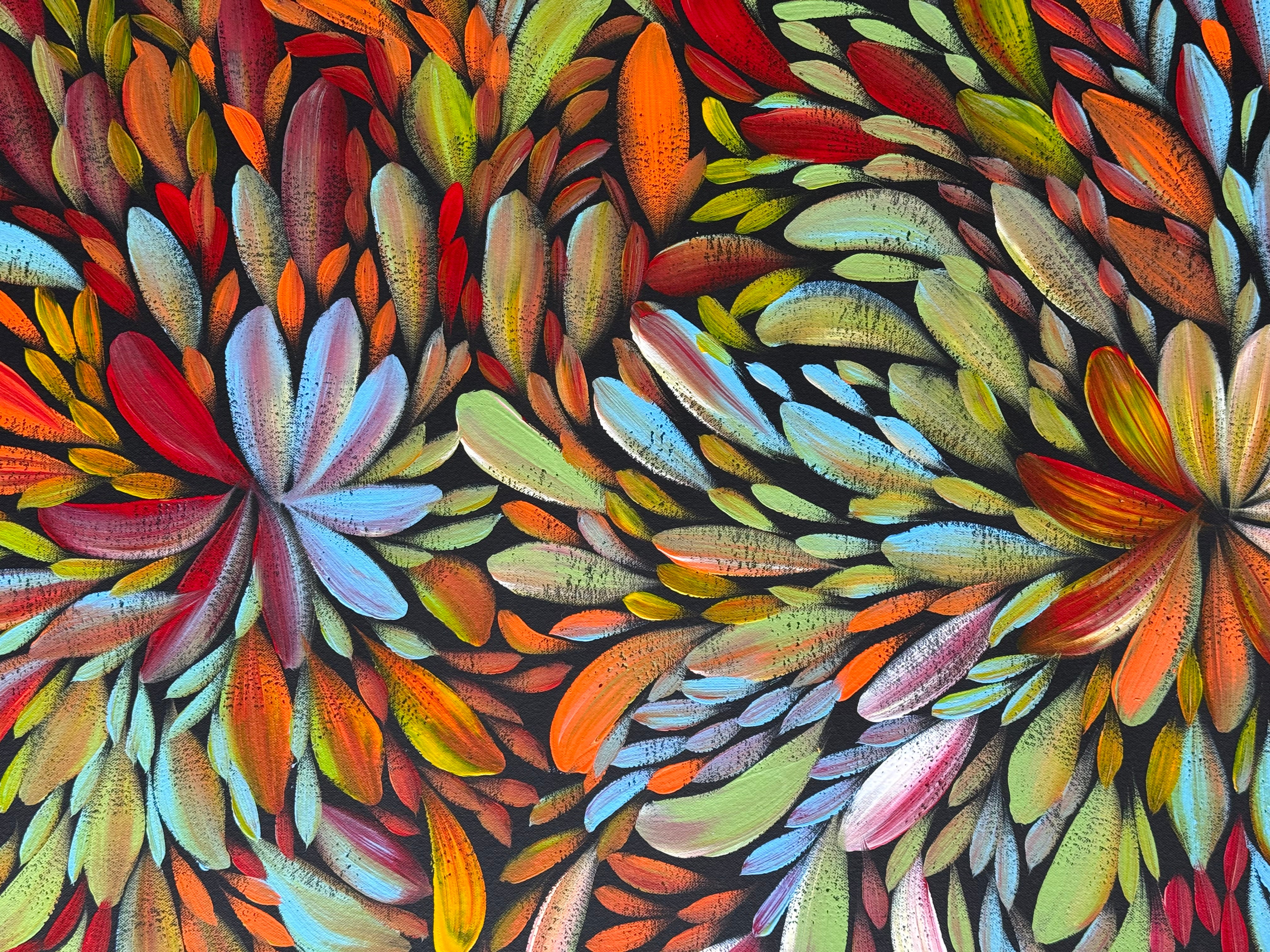 Louise Numina Napananka - Bush Medicine Leaves .31-16